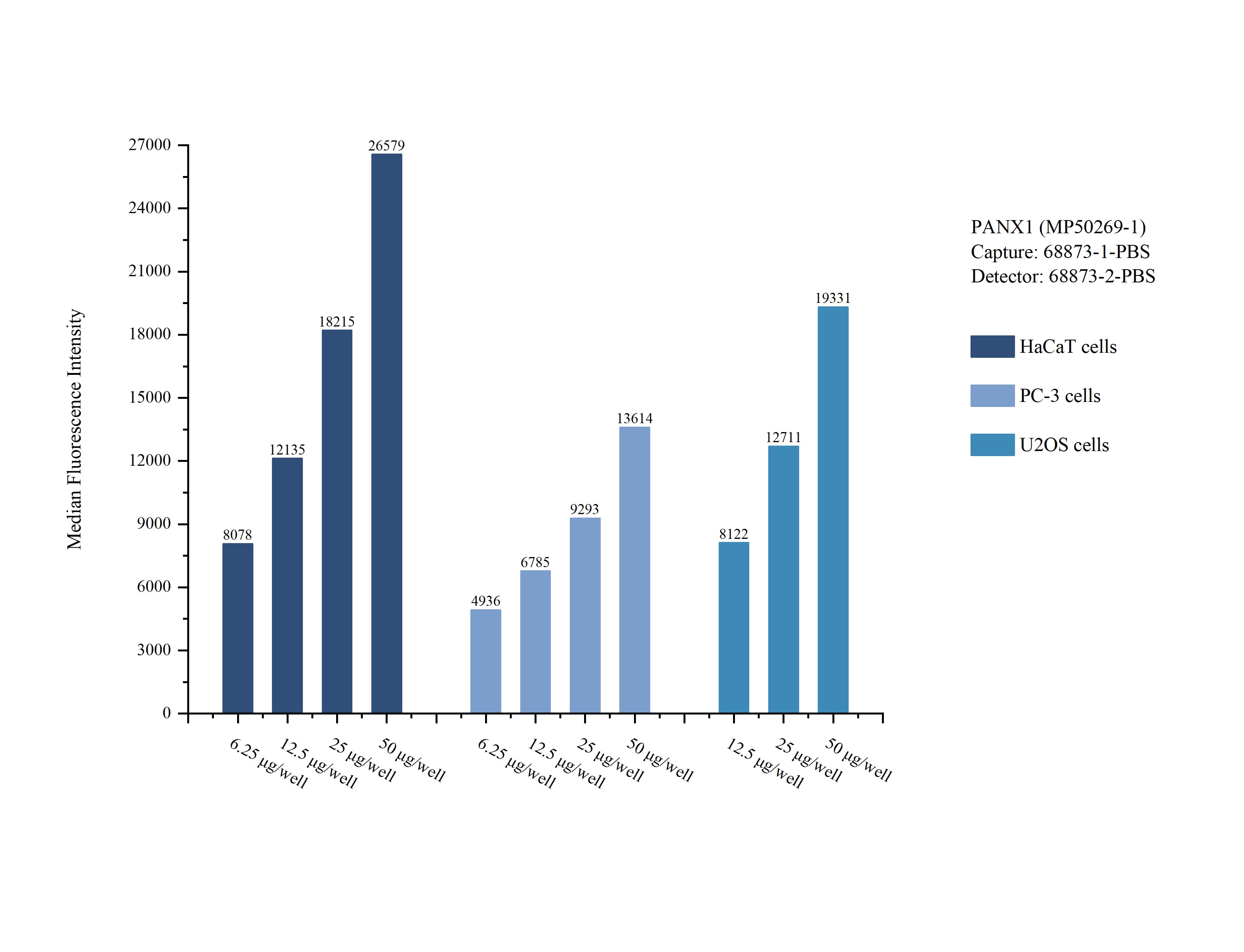 Cytometric bead array sample test of MP50269-1, PANX1 Monoclonal Matched Antibody Pair, PBS Only. Capture antibody: 68873-1-PBS. Detection antibody: 68873-2-PBS. Cytometric bead array sample test of MP50269-1