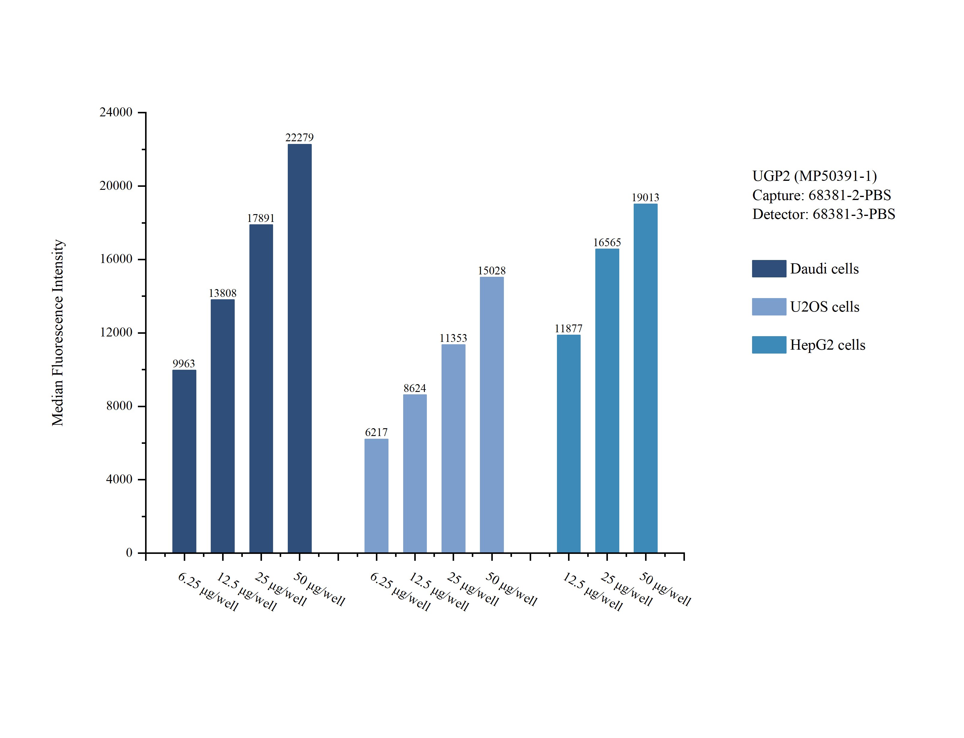 Cytometric bead array sample test of MP50391-1, UGP2 Monoclonal Matched Antibody Pair, PBS Only. Capture antibody: 68381-2-PBS. Detection antibody: 68381-3-PBS. 
