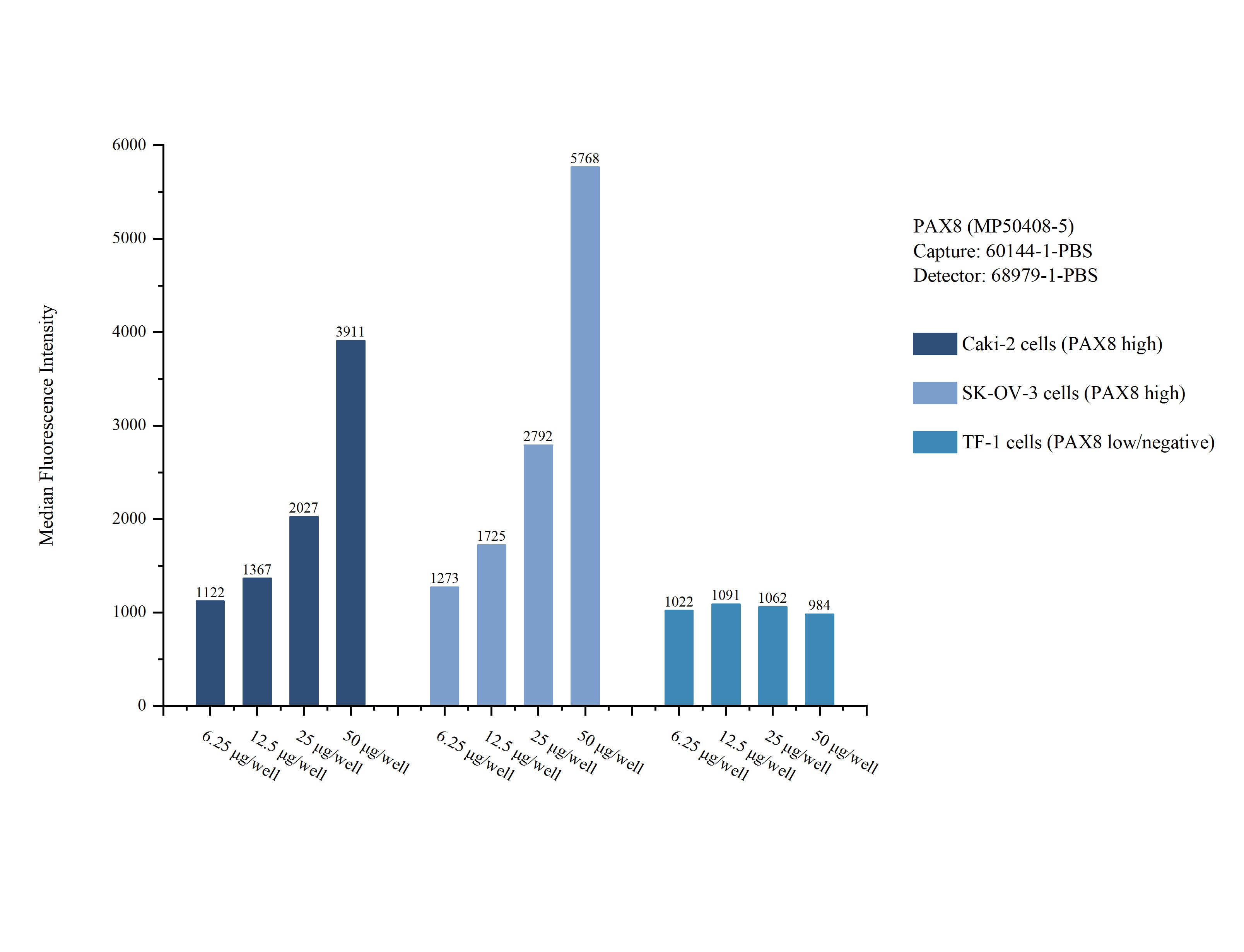 Cytometric bead array sample test of MP50408-5