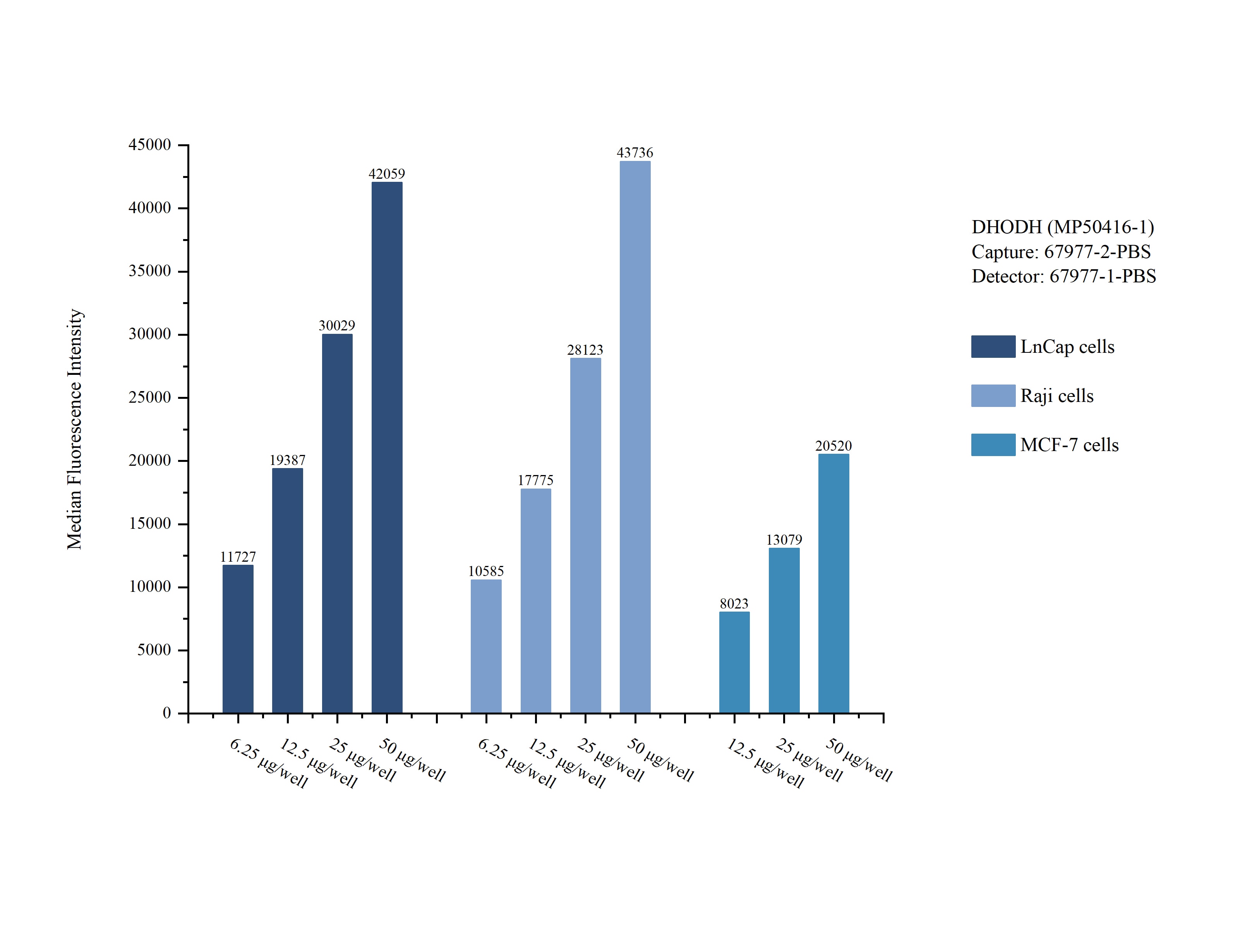 Cytometric bead array sample test of MP50416-1