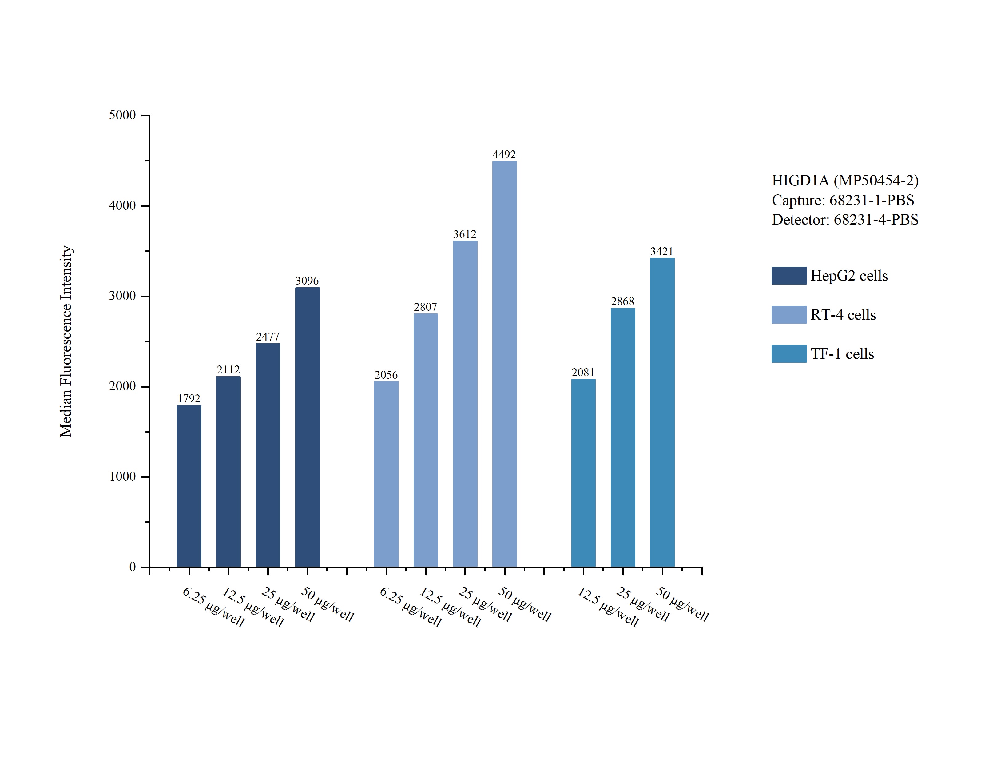 Cytometric bead array sample test of MP50454-2