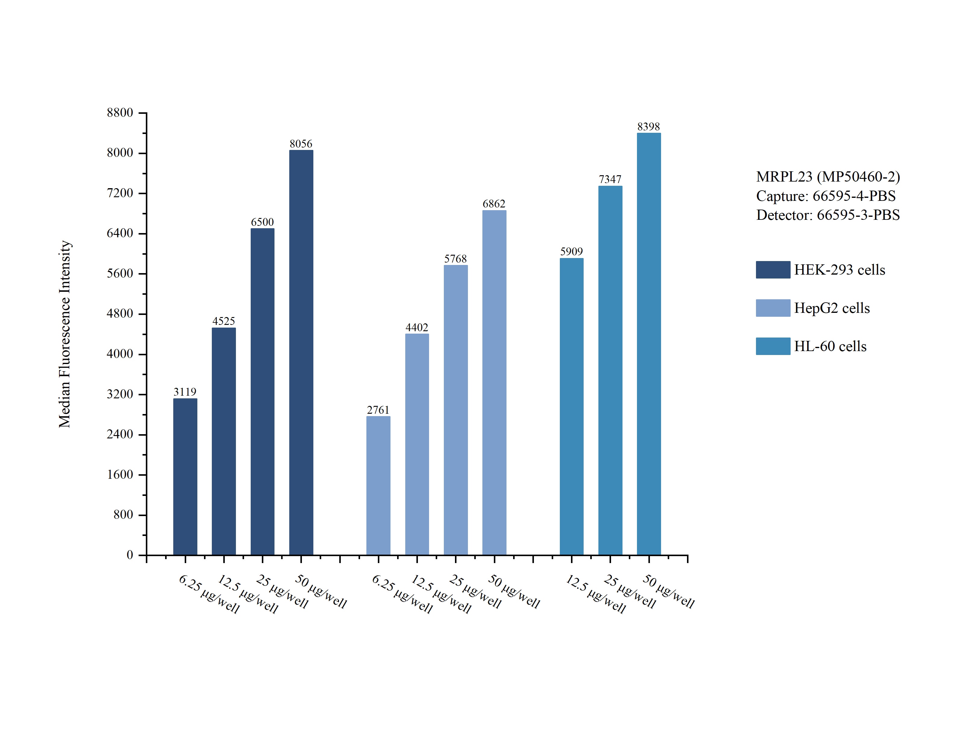 Cytometric bead array sample test of MP50460-2