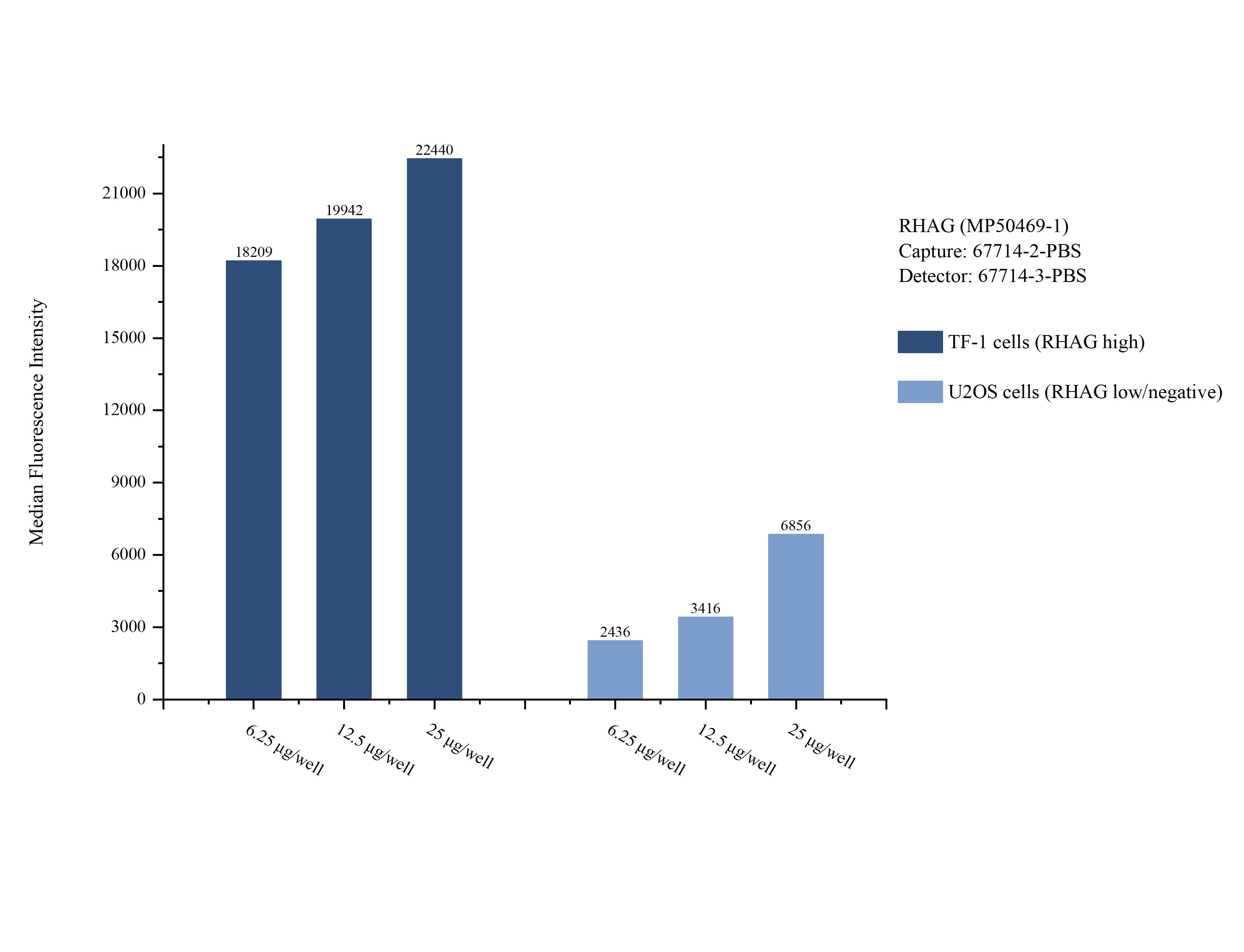 Cytometric bead array sample test of MP50469-1, RHAG Monoclonal Matched Antibody Pair, PBS Only. Capture antibody: 67714-2-PBS. Detection antibody: 67714-3-PBS. Cytometric bead array sample test of MP50469-1
