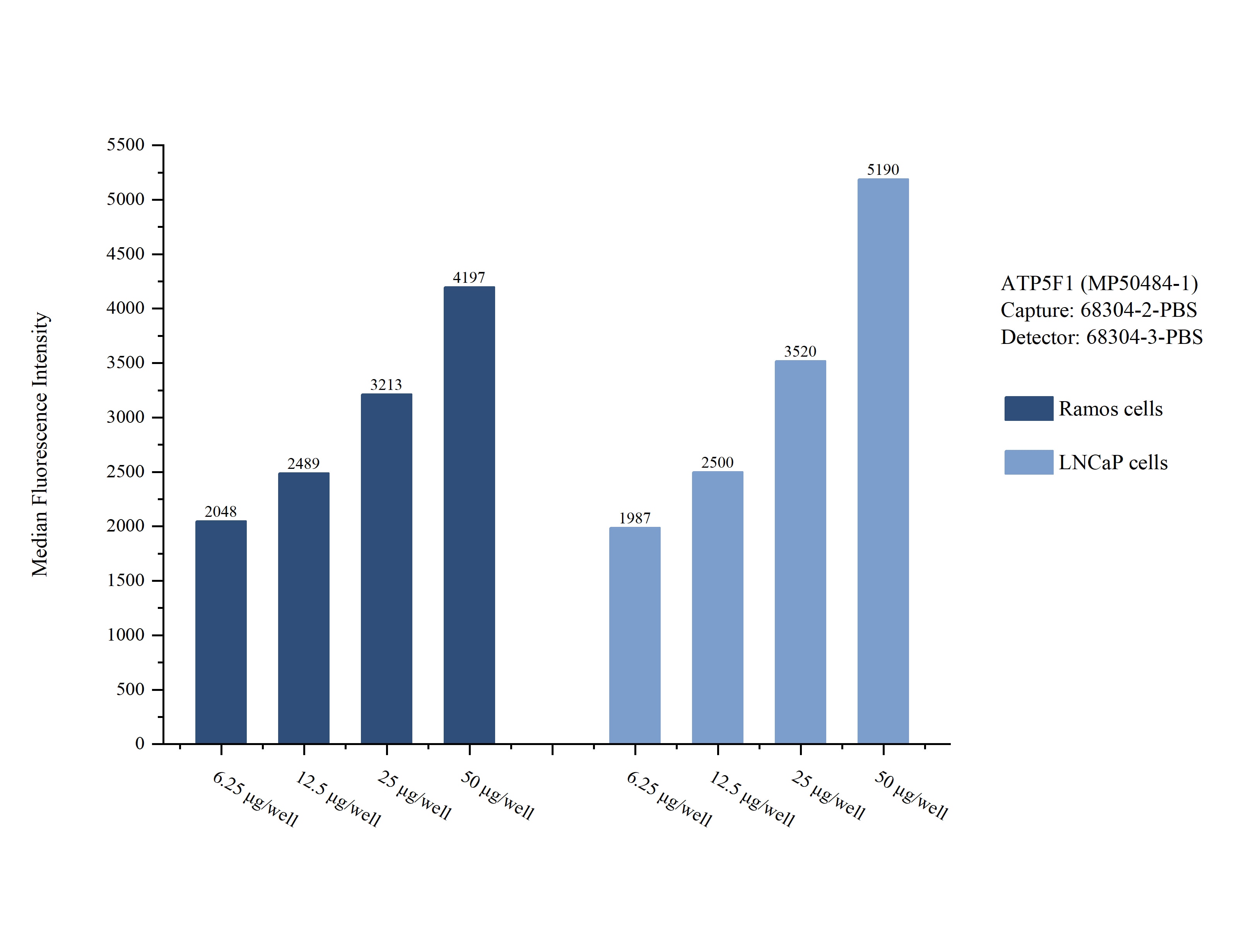 Cytometric bead array sample test of MP50484-1