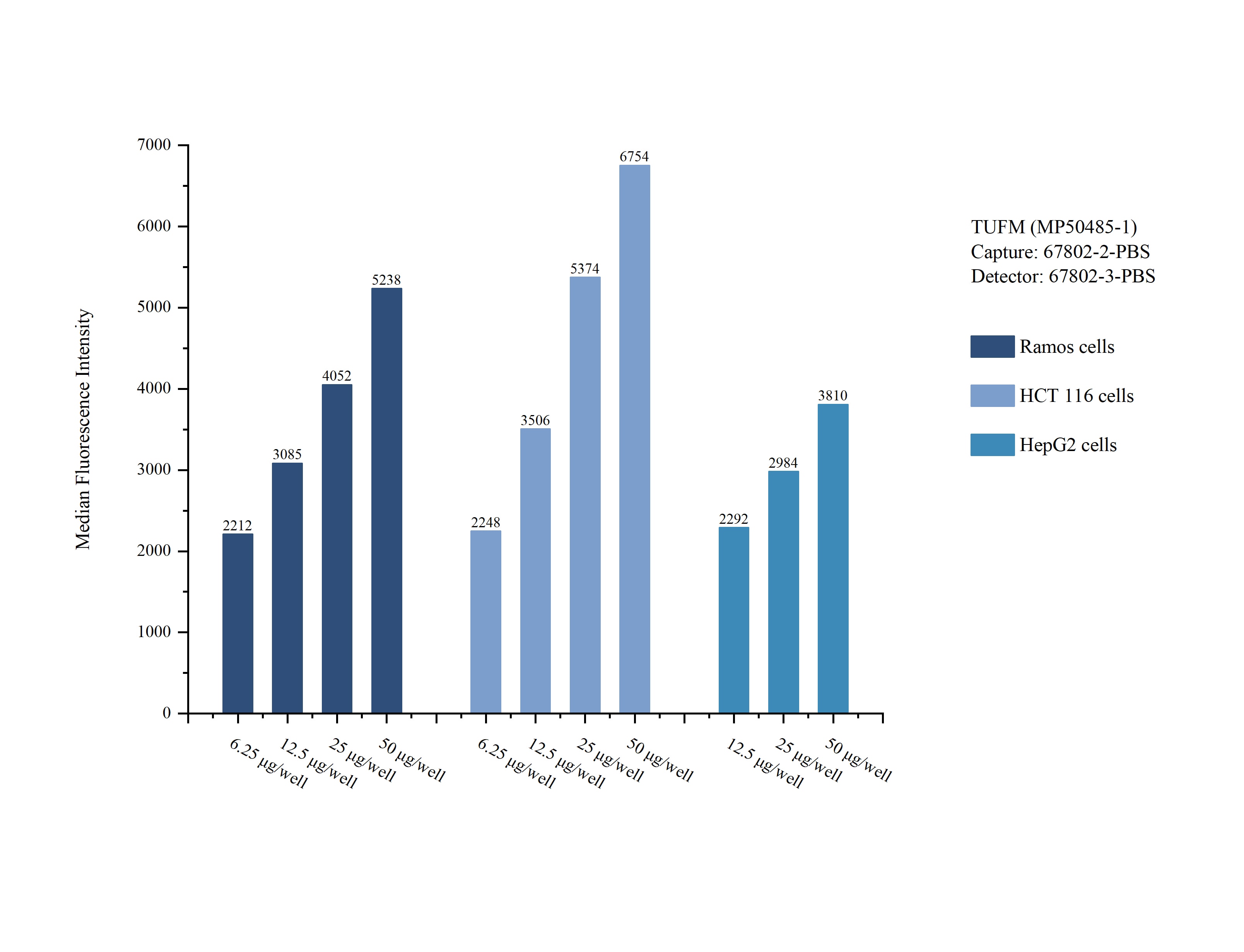 Cytometric bead array sample test of MP50485-1