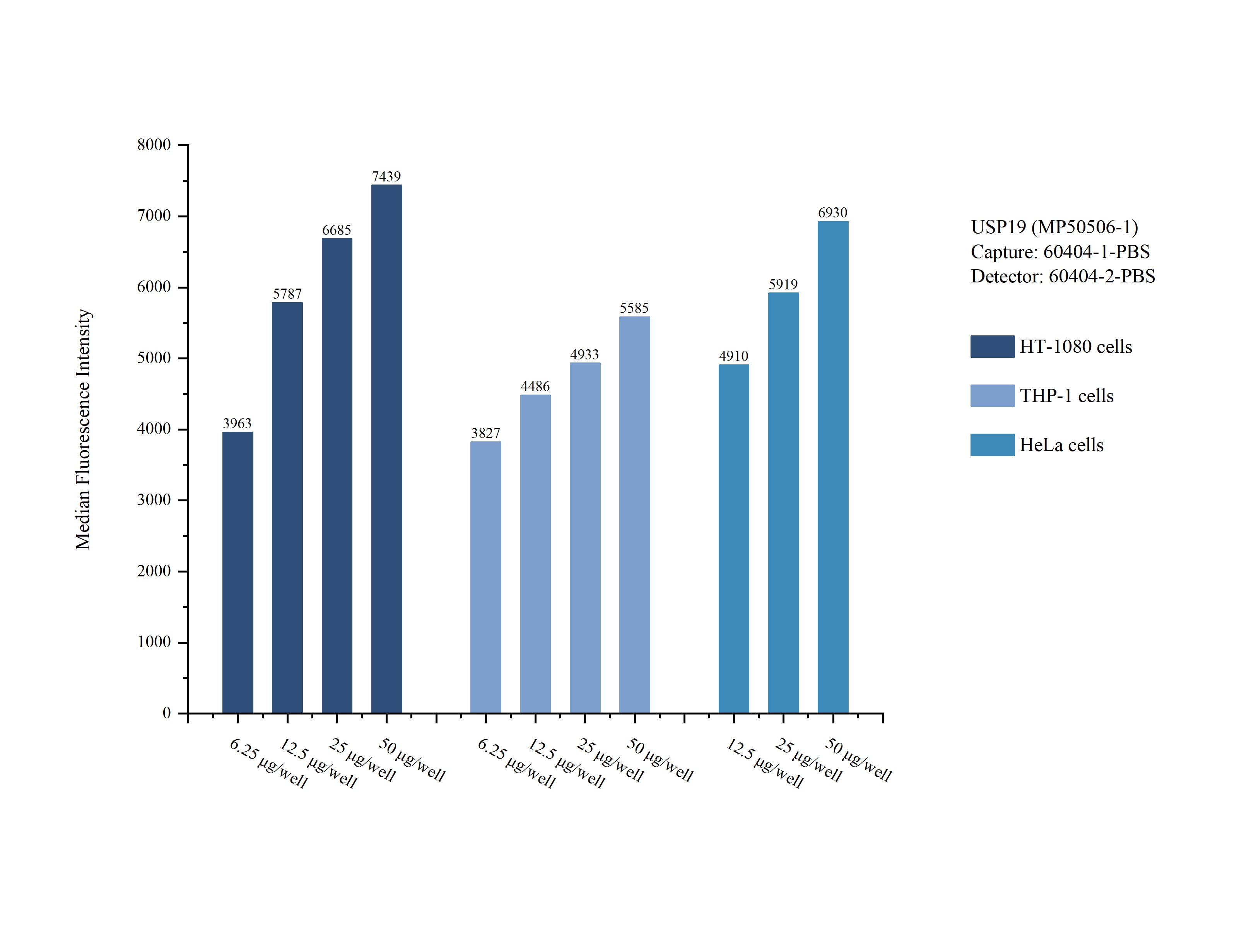 Cytometric bead array sample test of MP50506-1