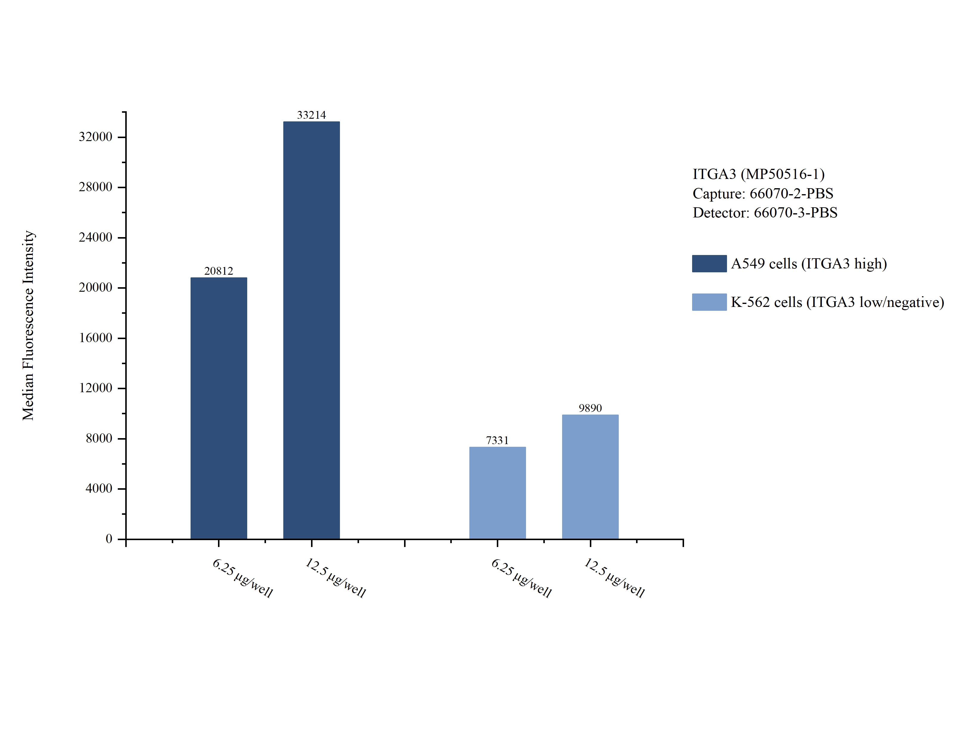 Cytometric bead array sample test of MP50516-1