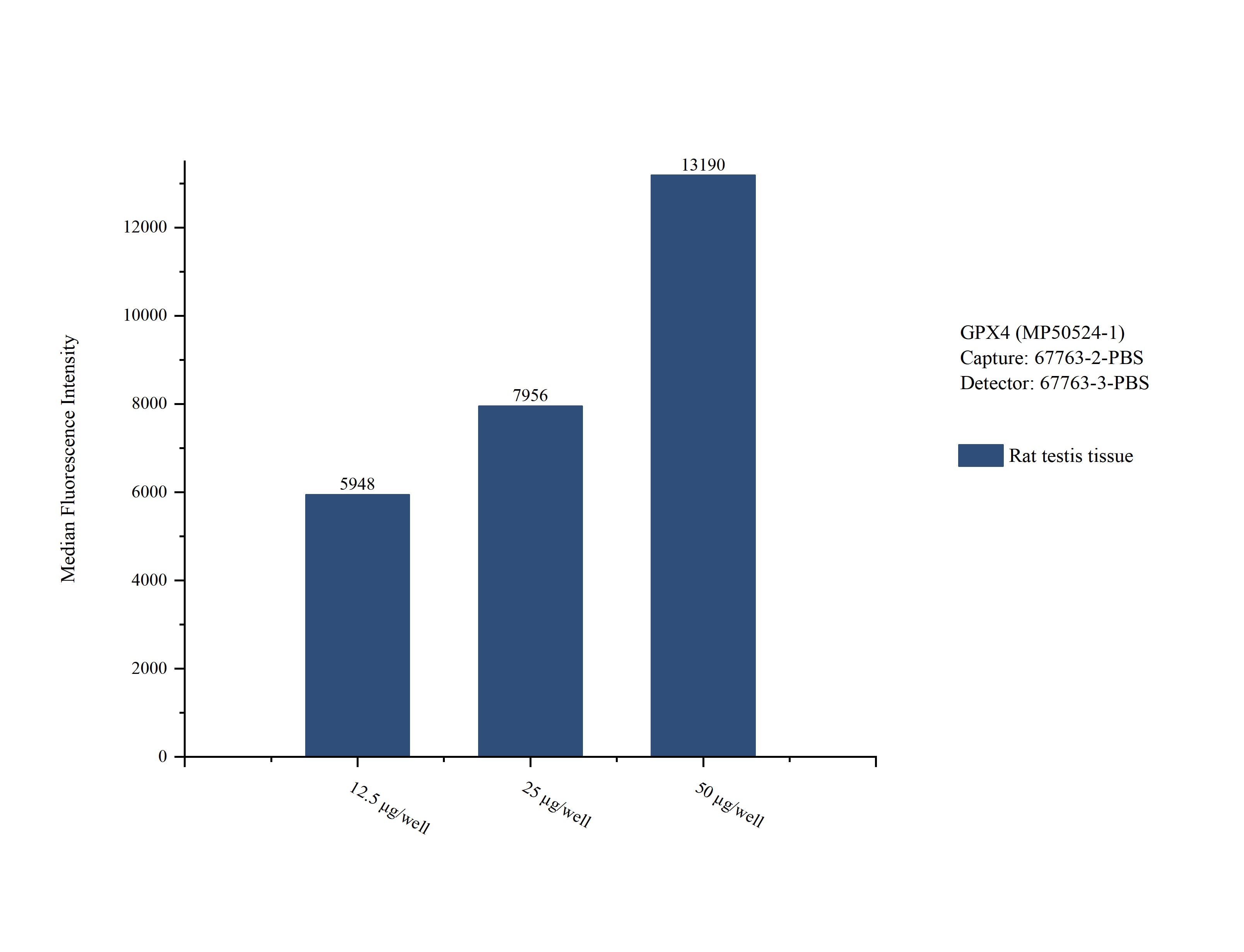 Cytometric bead array sample test of MP50524-1, GPX4 Monoclonal Matched Antibody Pair, PBS Only. Capture antibody: 67763-2-PBS. Detection antibody: 67763-3-PBS. 