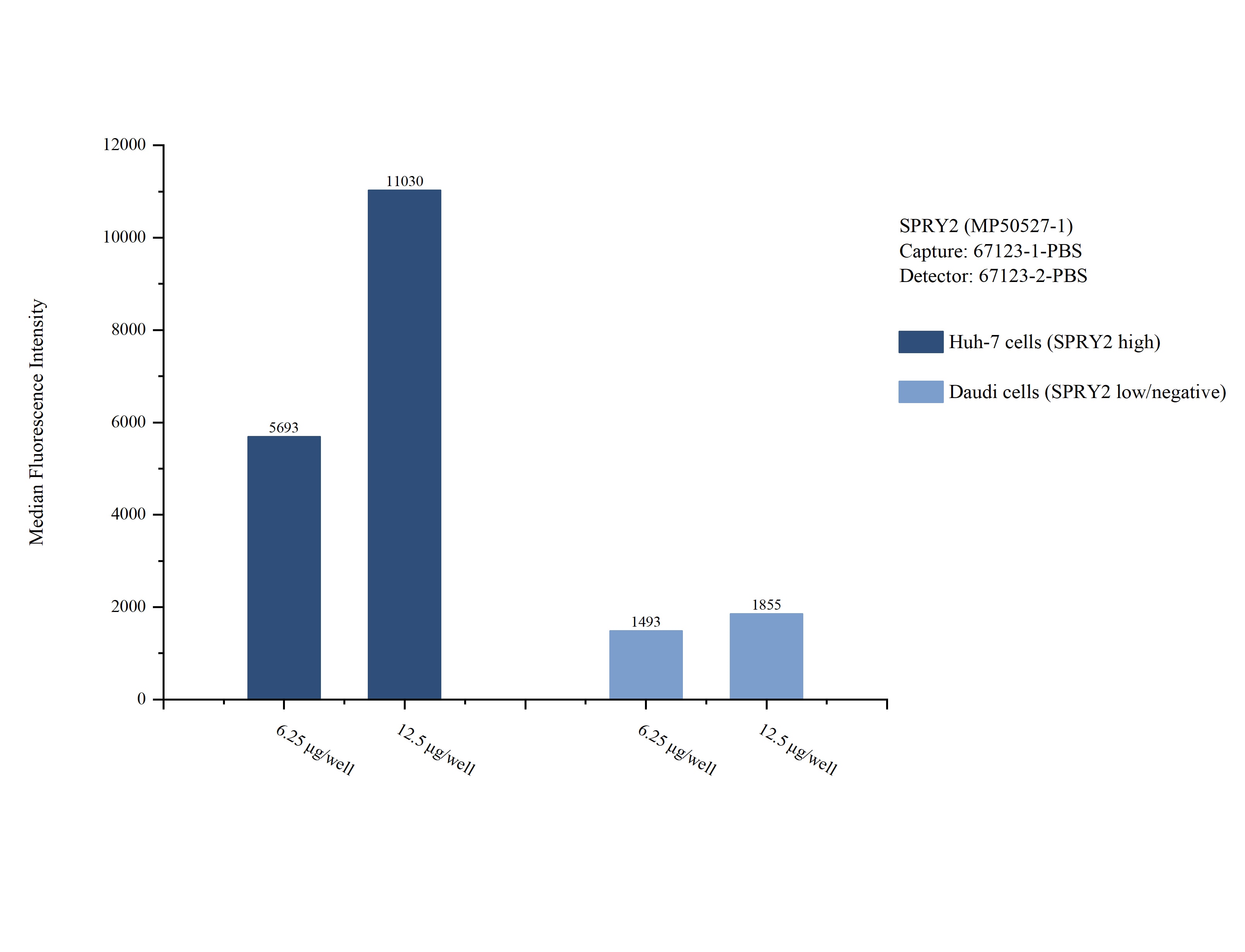 Cytometric bead array sample test of MP50527-1
