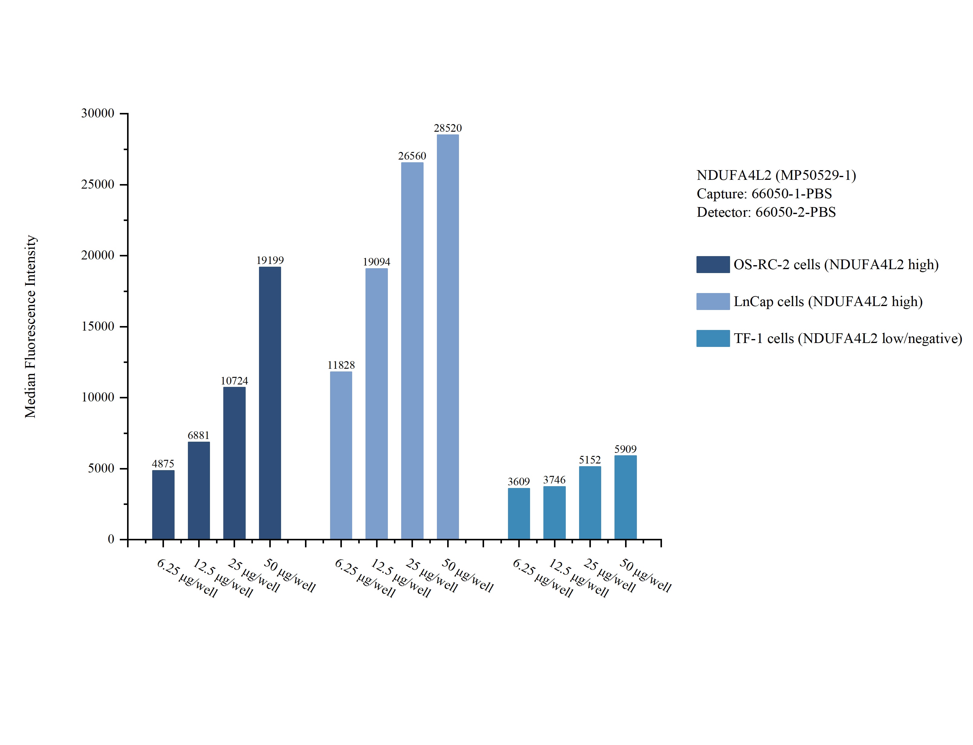 Cytometric bead array sample test of MP50529-1, NDUFA4L2 Monoclonal Matched Antibody Pair, PBS Only. Capture antibody: 66050-1-PBS. Detection antibody: 66050-2-PBS. Cytometric bead array sample test of MP50529-1