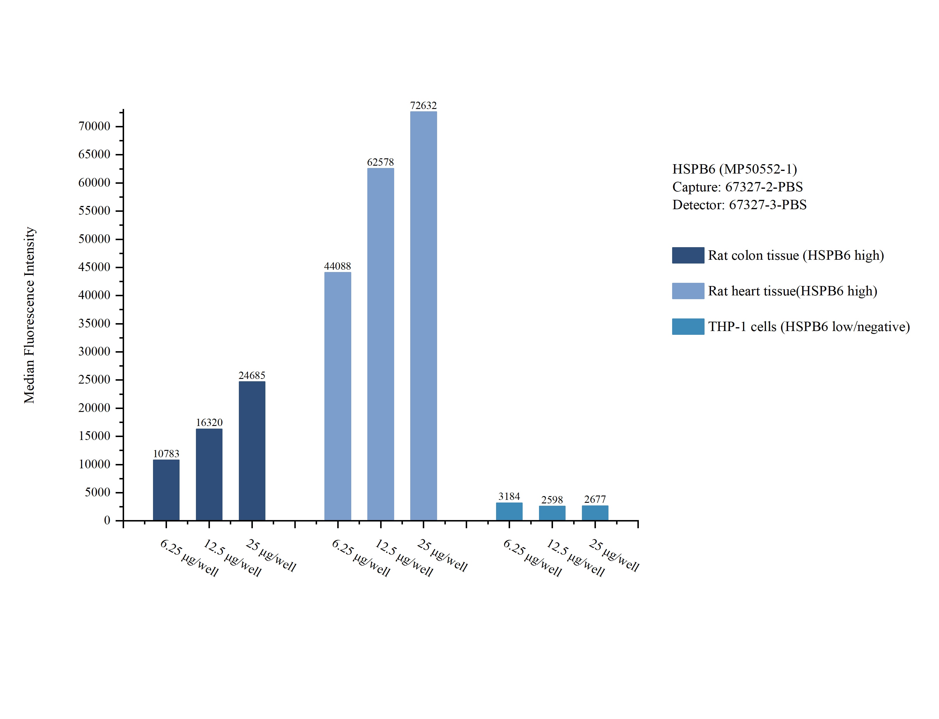 Cytometric bead array sample test of MP50552-1