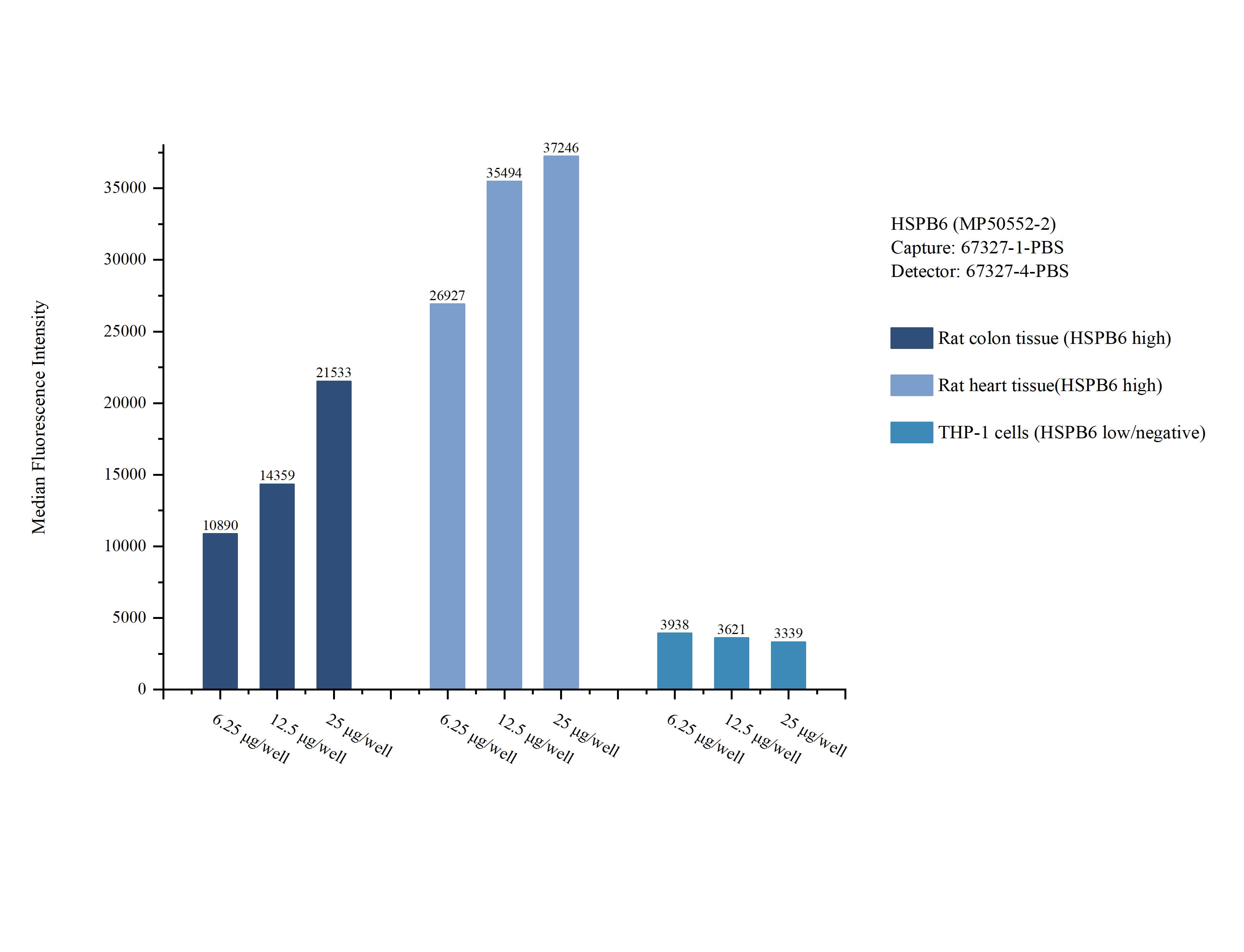 Cytometric bead array sample test of MP50552-2, HSPB6 Monoclonal Matched Antibody Pair, PBS Only. Capture antibody: 67327-1-PBS. Detection antibody: 67327-4-PBS. Cytometric bead array sample test of MP50552-2