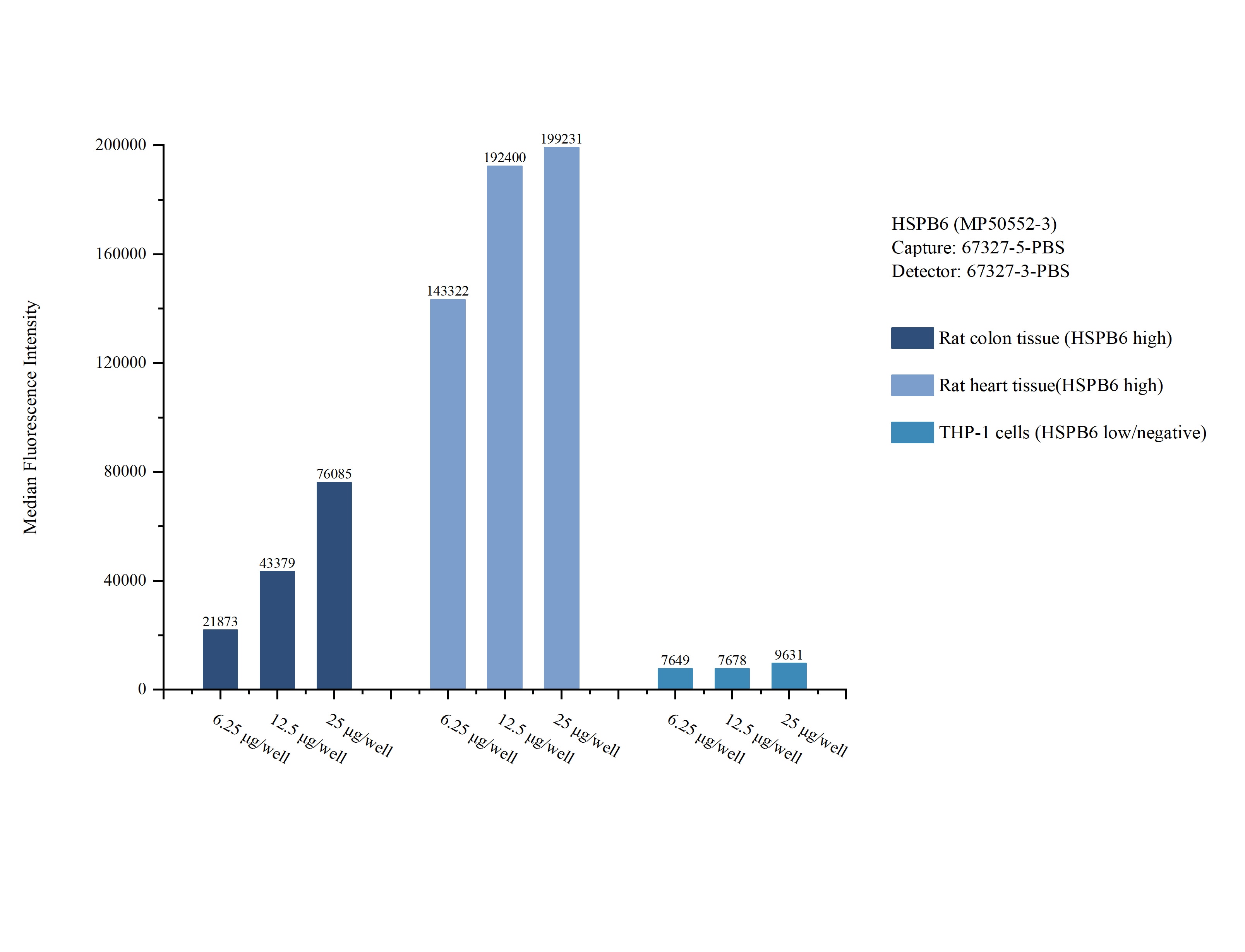 Cytometric bead array sample test of MP50552-3