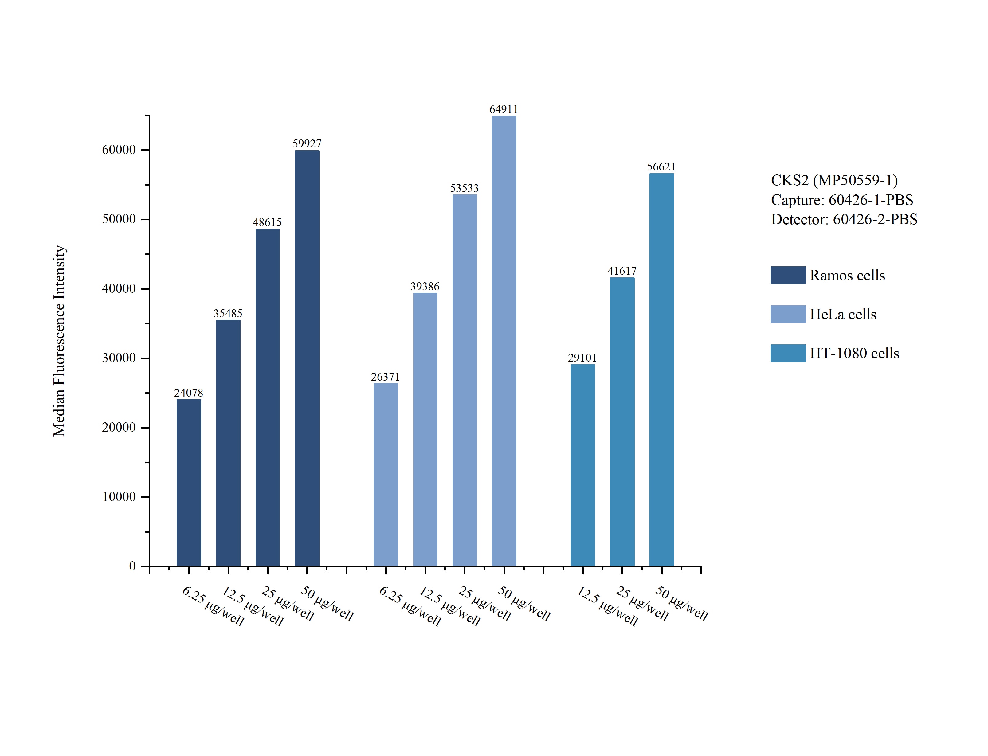 Cytometric bead array sample test of MP50559-1