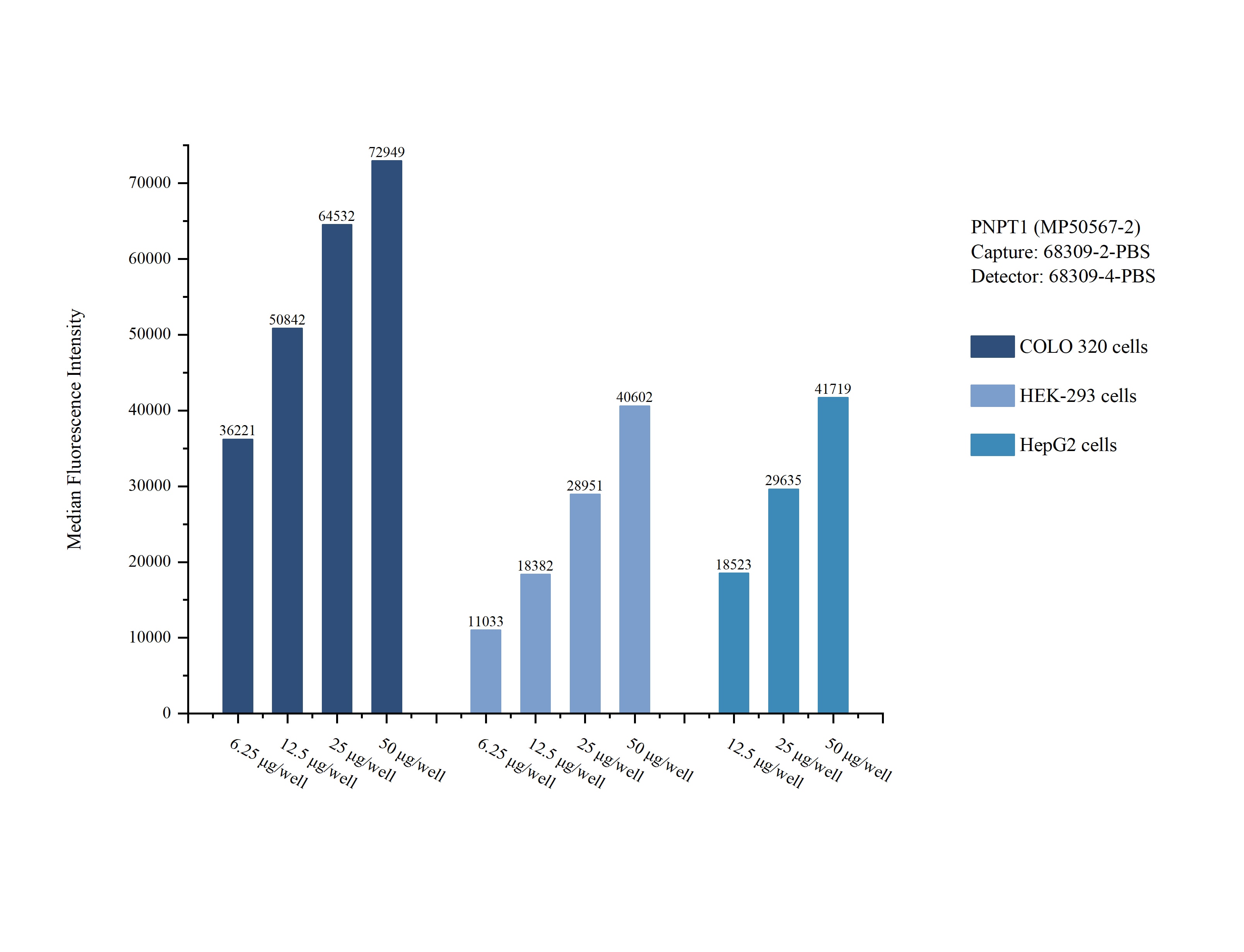 Cytometric bead array sample test of MP50567-2, PNPT1 Monoclonal Matched Antibody Pair, PBS Only. Capture antibody: 68309-2-PBS. Detection antibody: 68309-4-PBS. Cytometric bead array sample test of MP50567-2