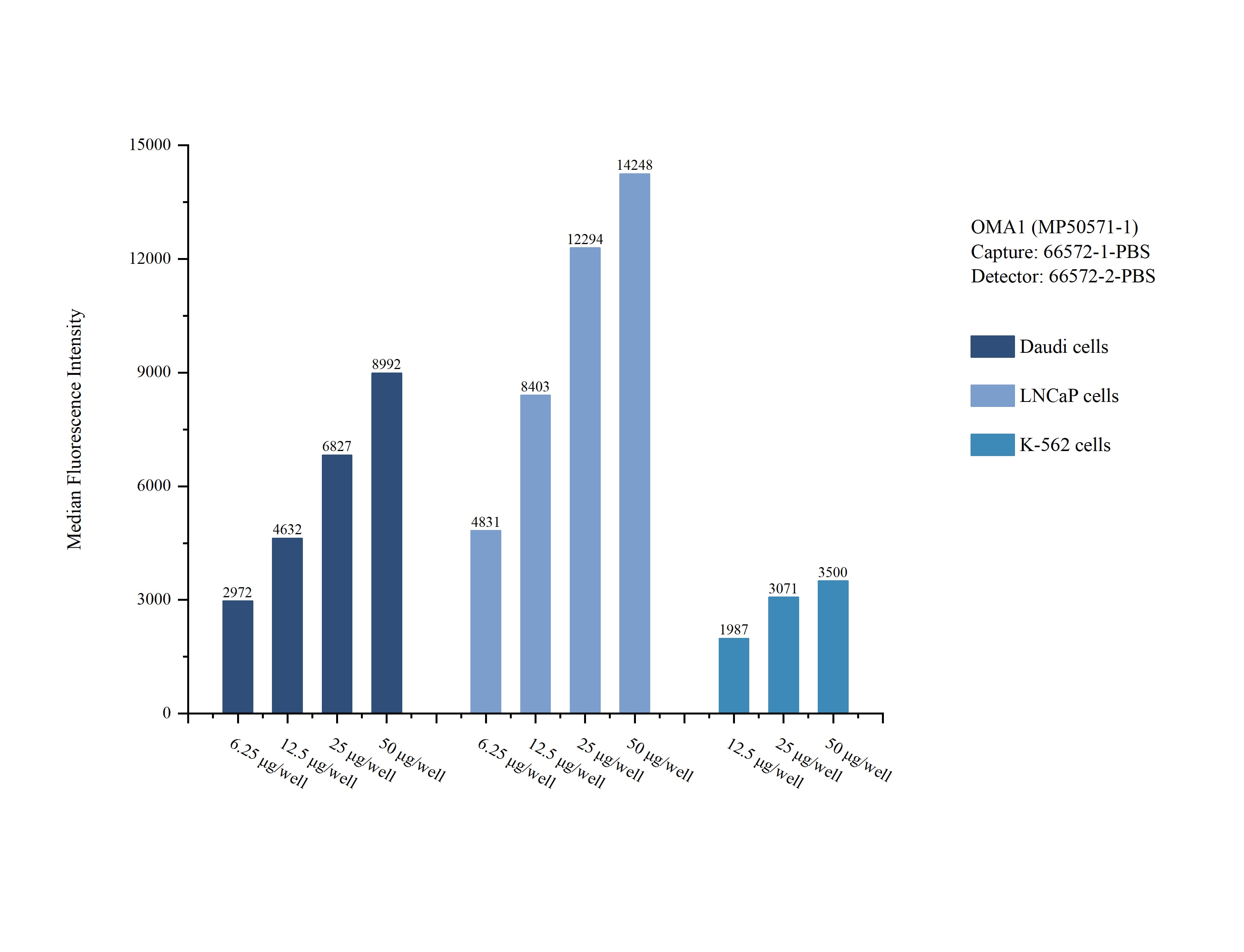 Cytometric bead array sample test of MP50571-1, OMA1 Monoclonal Matched Antibody Pair, PBS Only. Capture antibody: 66572-1-PBS. Detection antibody: 66572-2-PBS. Cytometric bead array sample test of MP50571-1