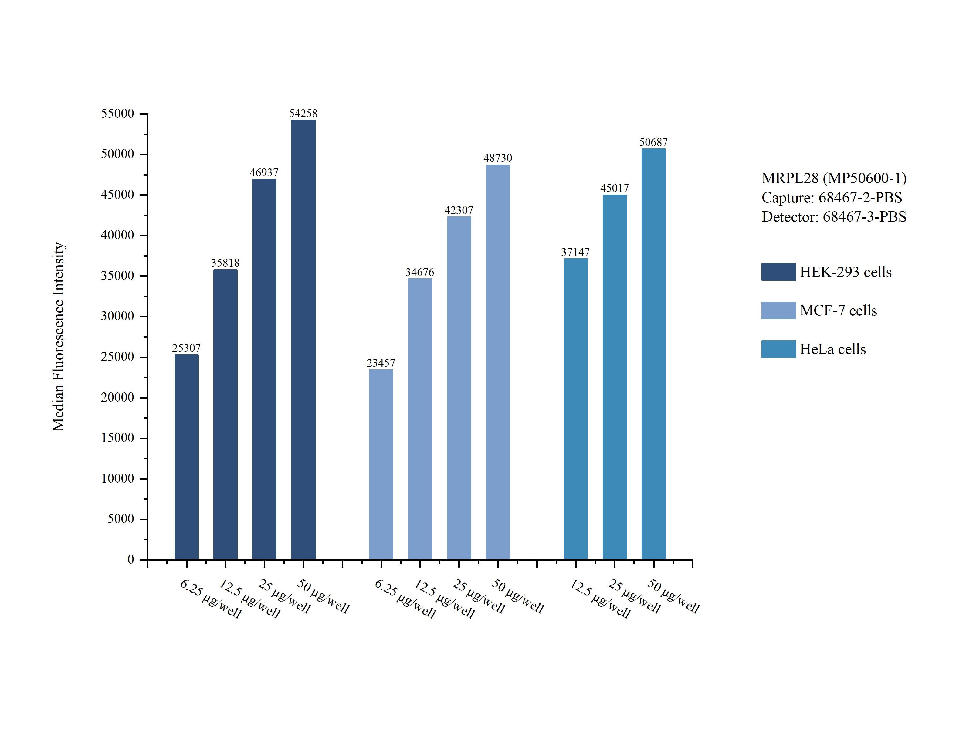 Cytometric bead array sample test of MP50600-1