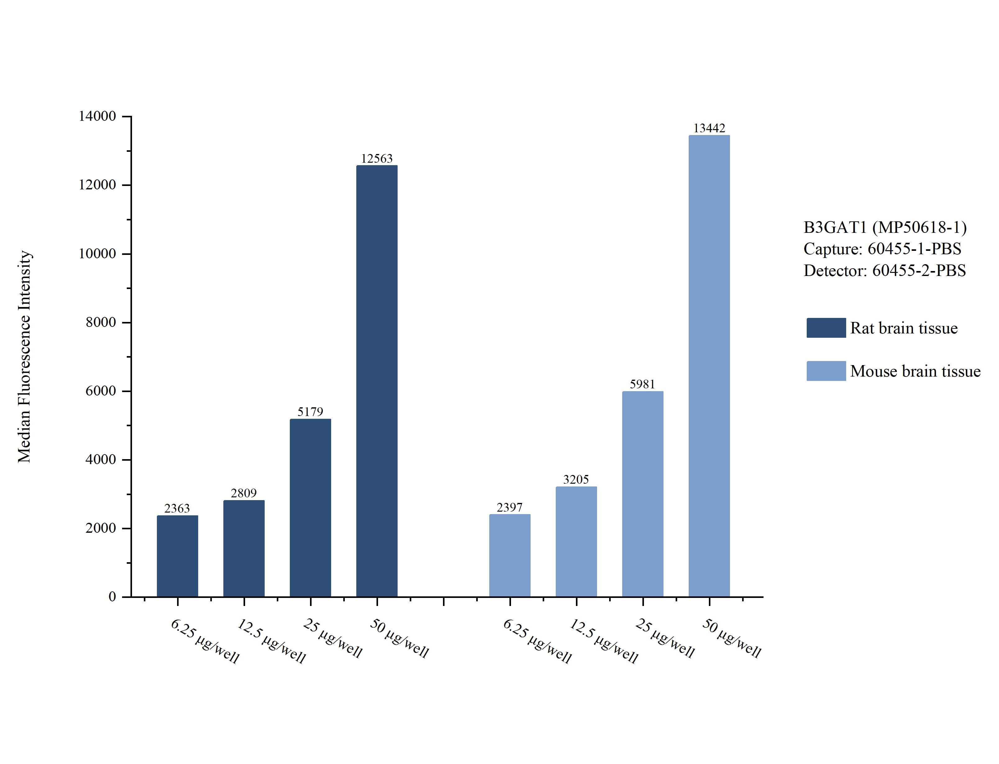 Cytometric bead array sample test of MP50618-1