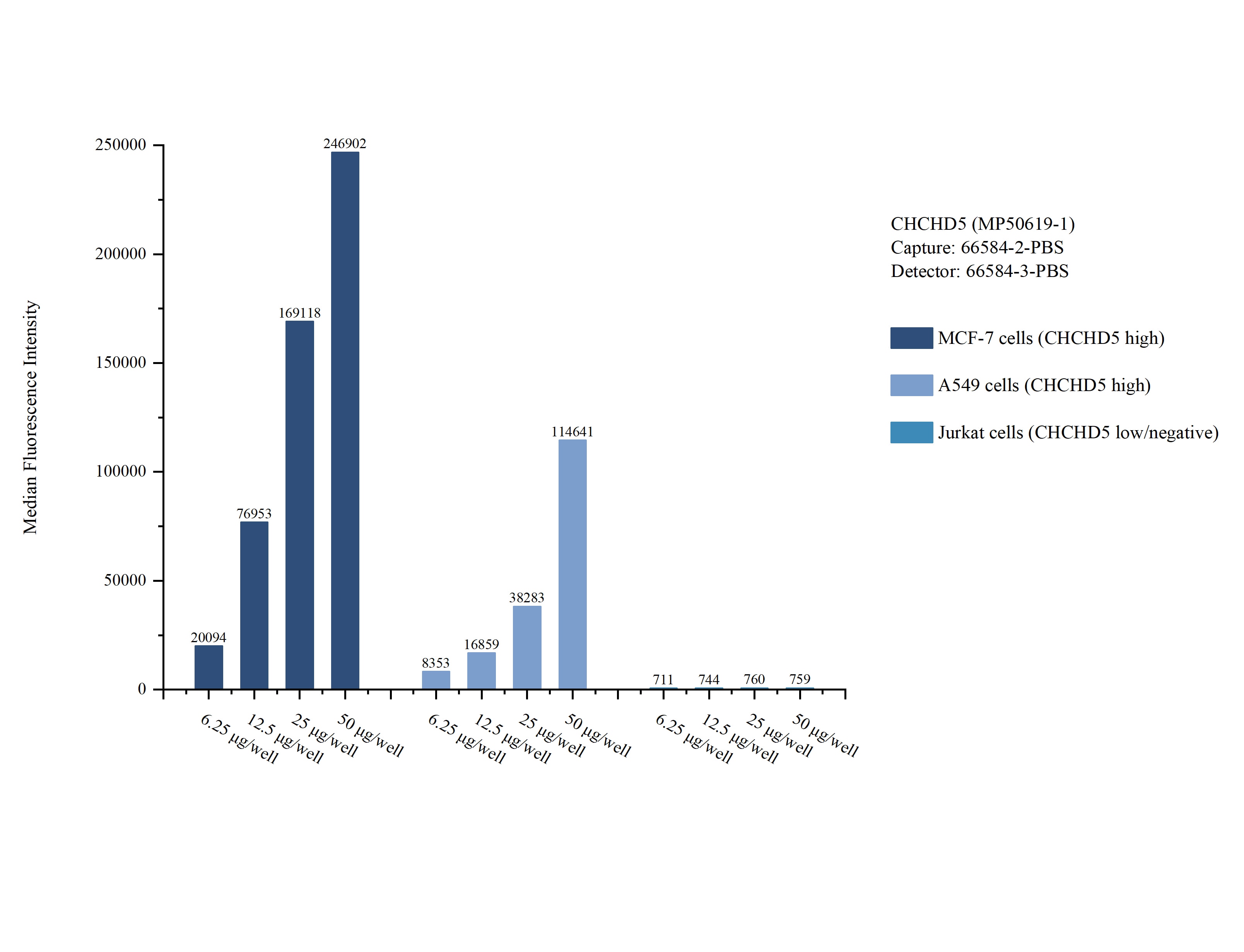 Cytometric bead array sample test of MP50619-1