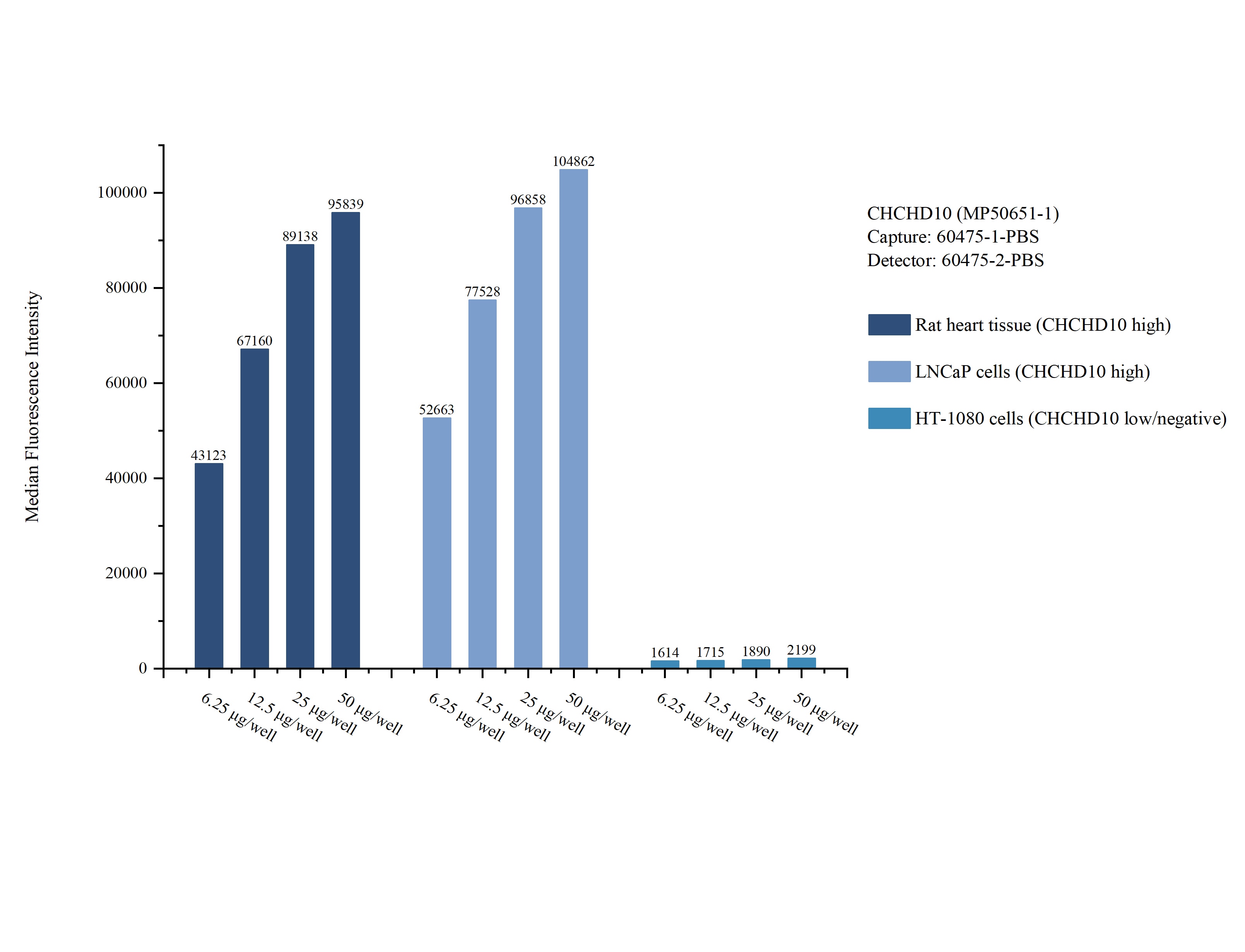 Cytometric bead array sample test of MP50651-1