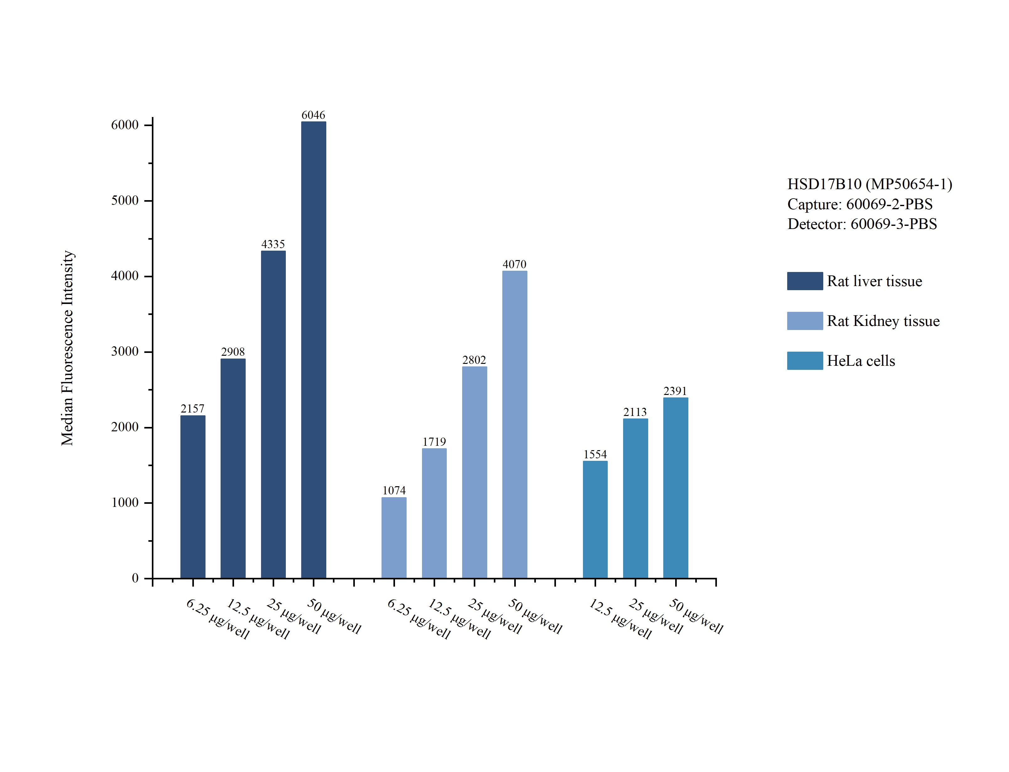 Cytometric bead array sample test of MP50654-1, HSD17B10 Monoclonal Matched Antibody Pair, PBS Only. Capture antibody: 60069-2-PBS. Detection antibody: 60069-3-PBS.