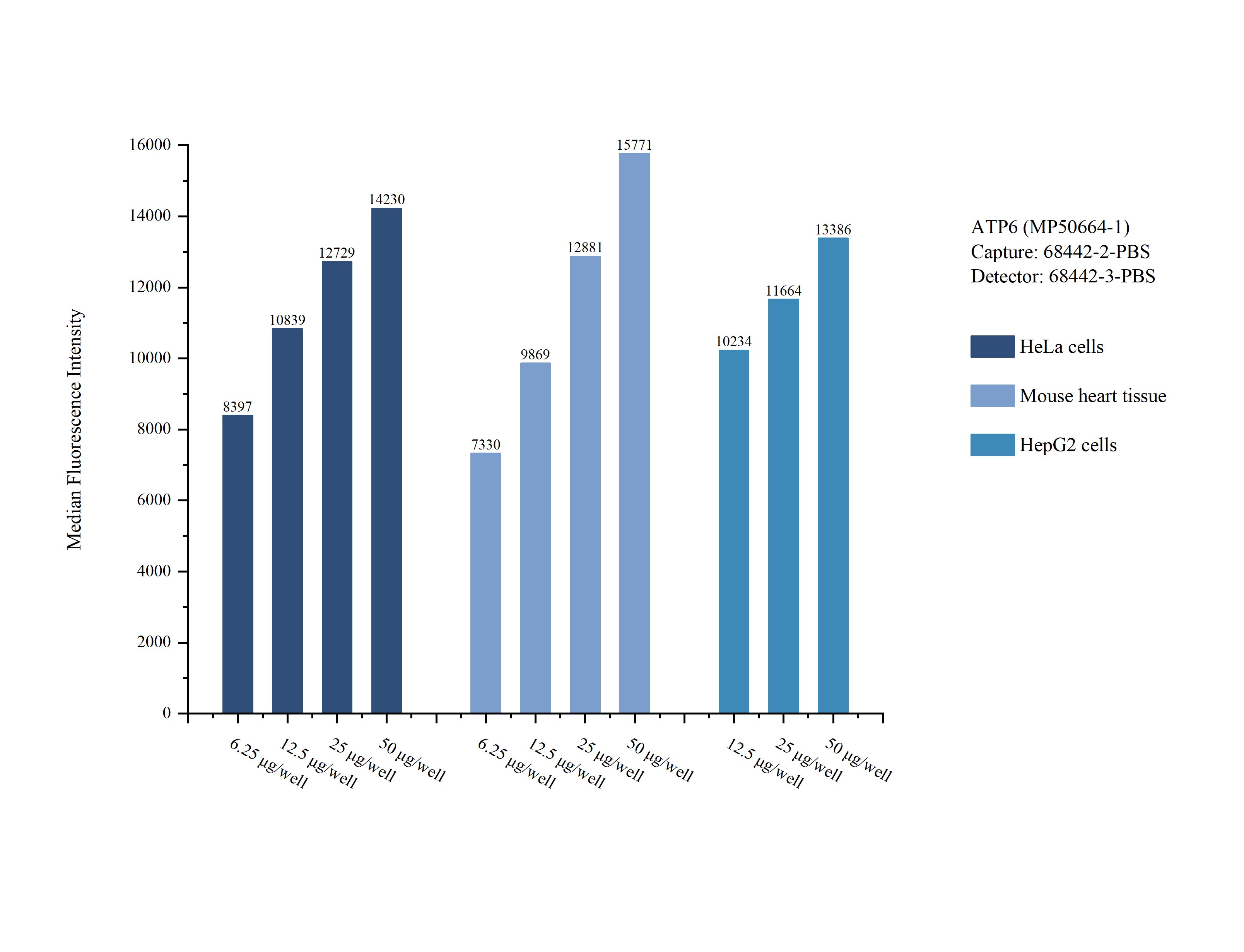 Cytometric bead array sample test of MP50664-1