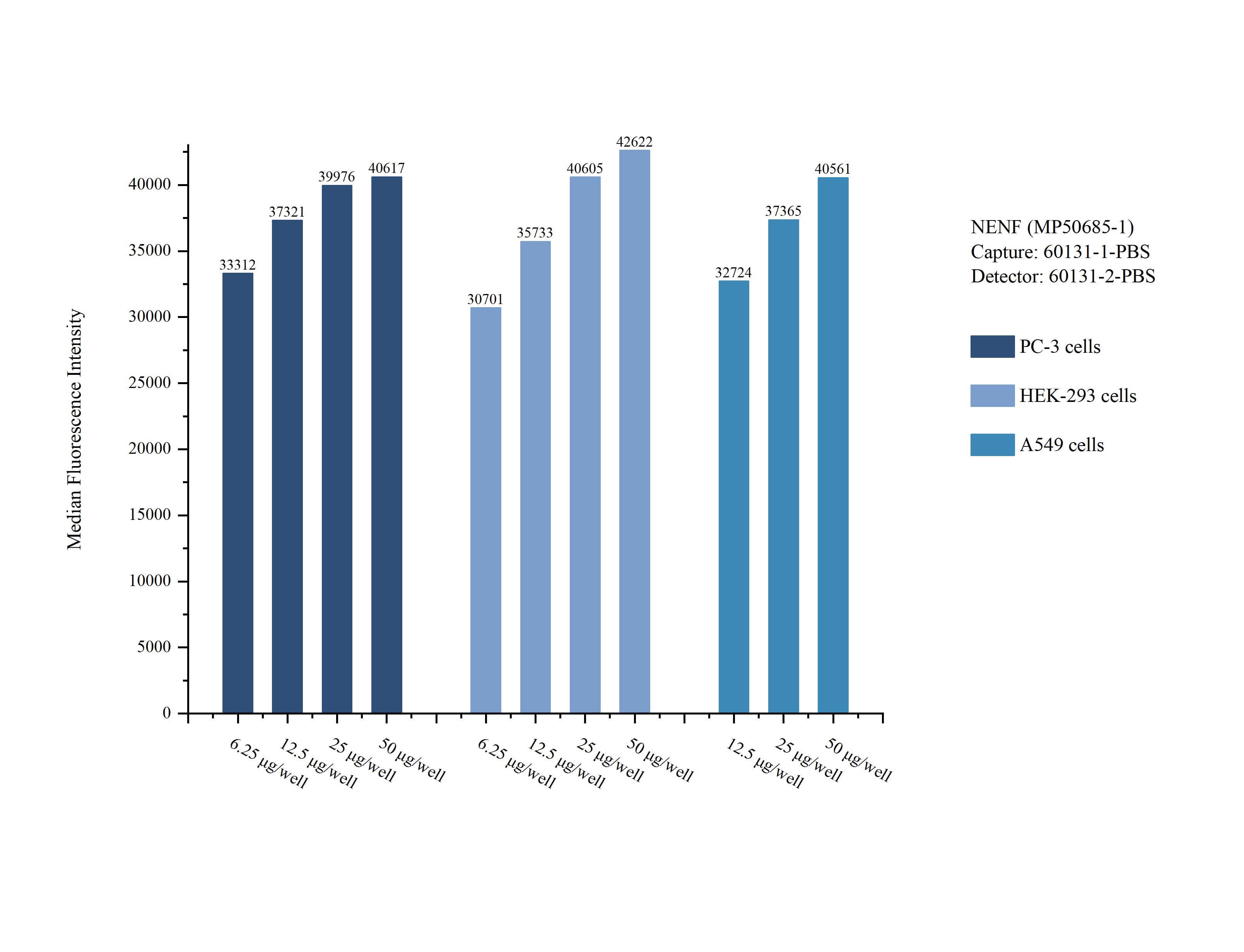 Cytometric bead array sample test of MP50685-1, NENF Monoclonal Matched Antibody Pair, PBS Only. Capture antibody: 60131-1-PBS. Detection antibody: 60131-2-PBS. Cytometric bead array sample test of MP50685-1