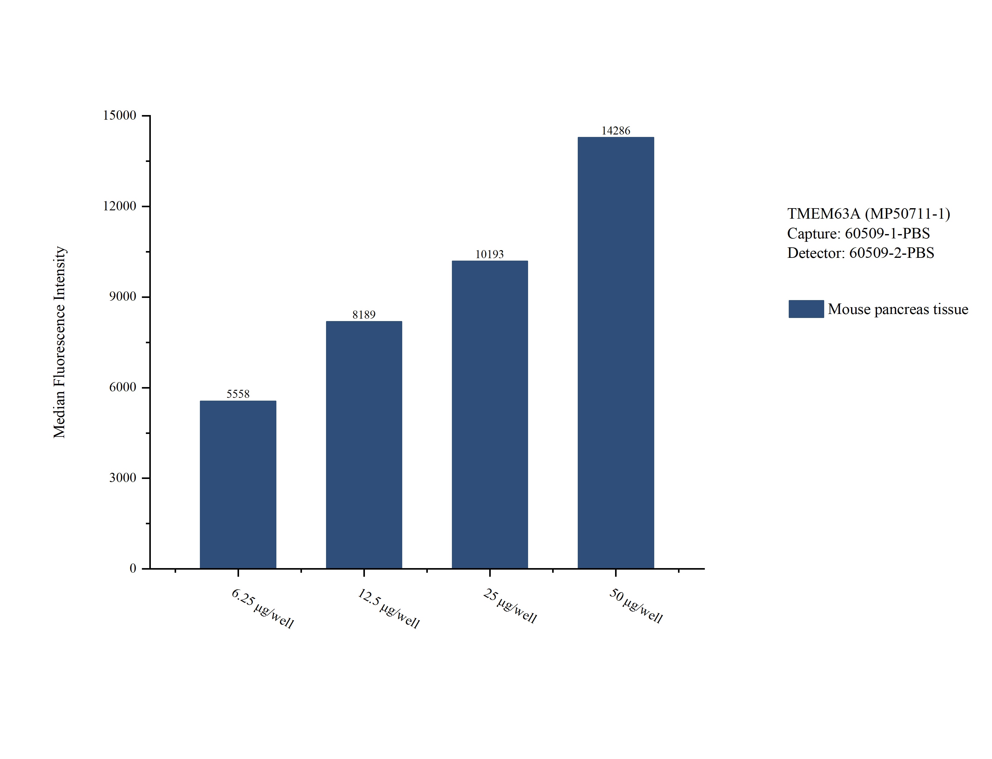 Cytometric bead array sample test of MP50711-1, TMEM63A Monoclonal Matched Antibody Pair, PBS Only. Capture antibody: 60509-1-PBS. Detection antibody: 60509-2-PBS. Cytometric bead array sample test of MP50711-1