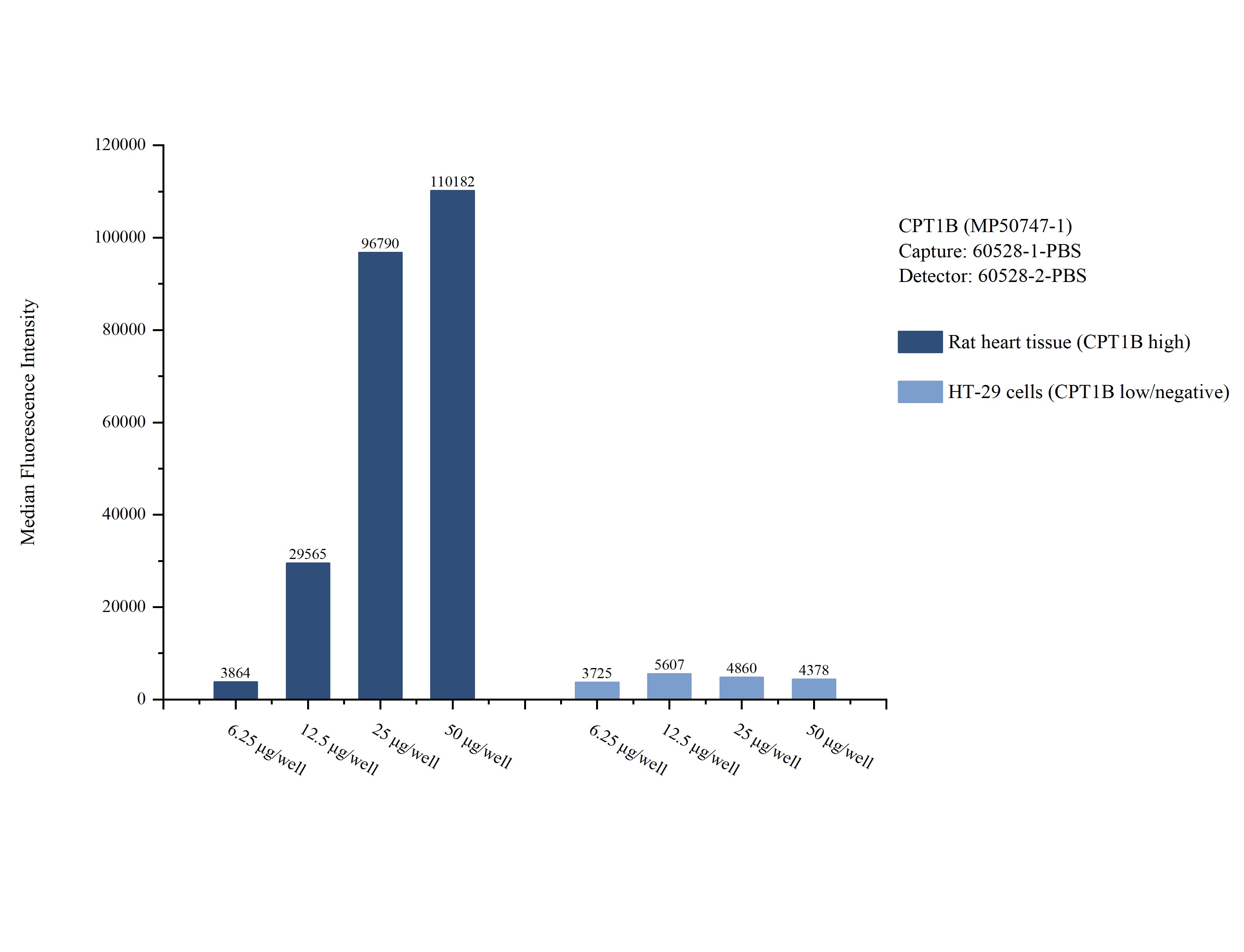 Cytometric bead array sample test of MP50747-1