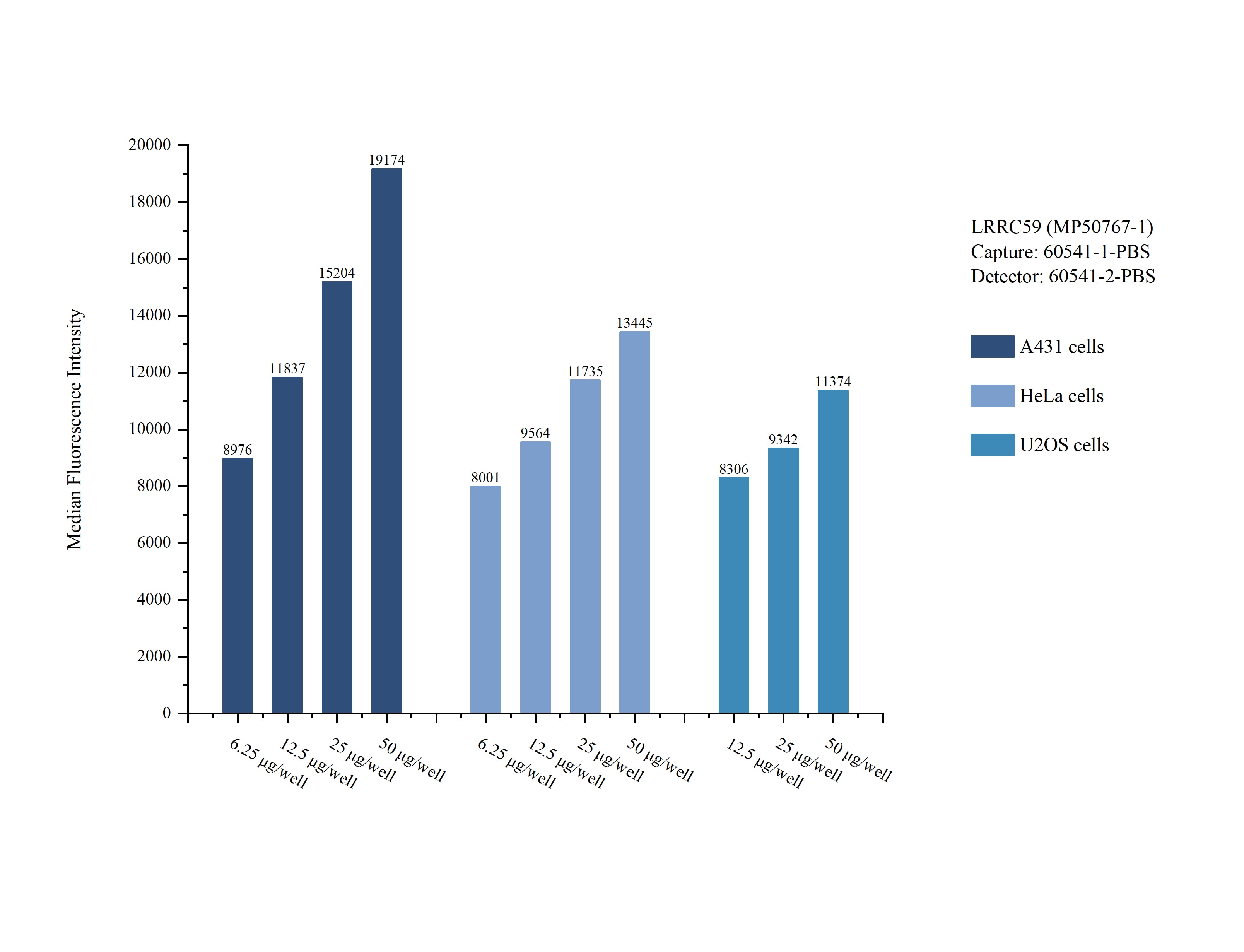 Cytometric bead array sample test of MP50767-1