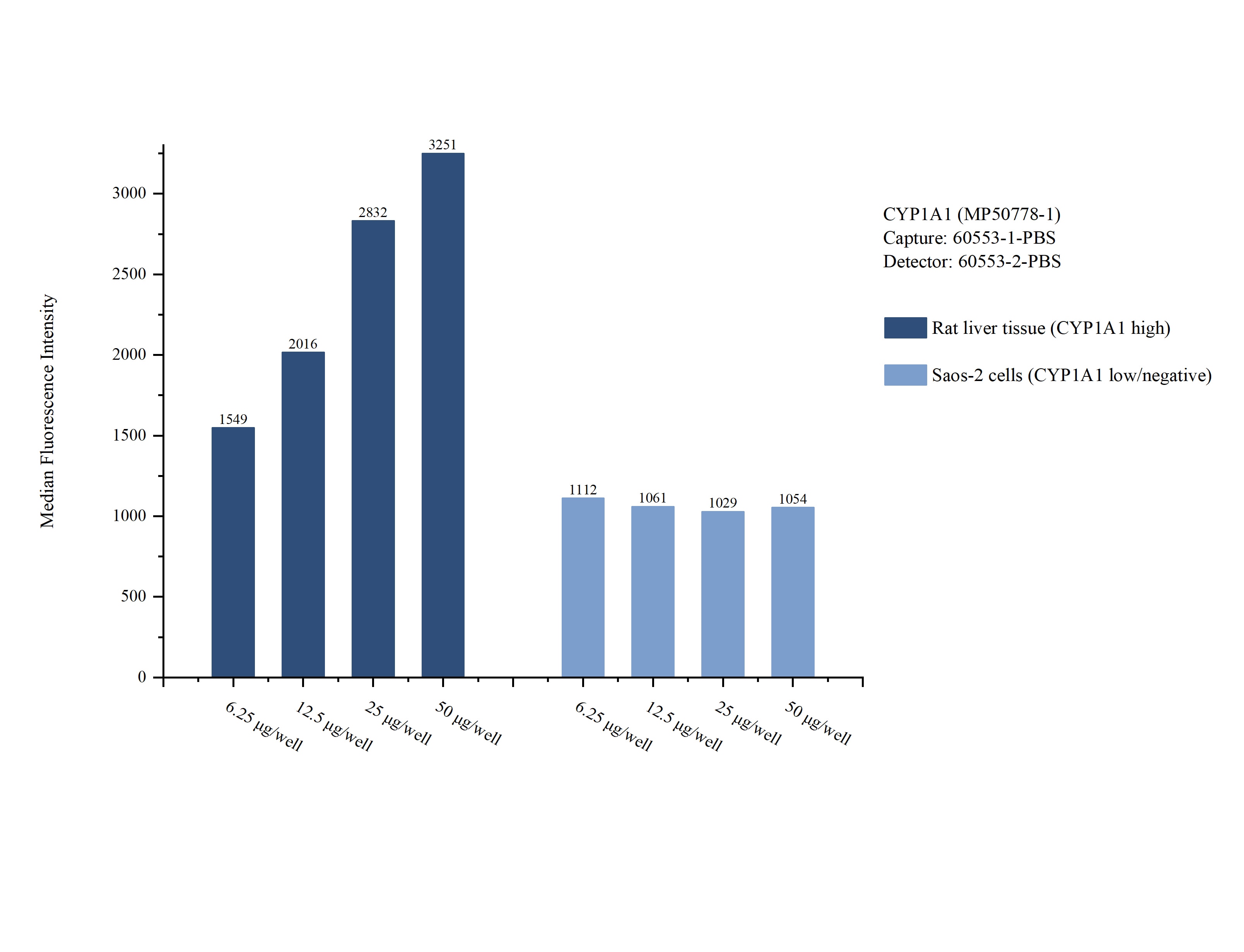 Cytometric bead array sample test of MP50778-1