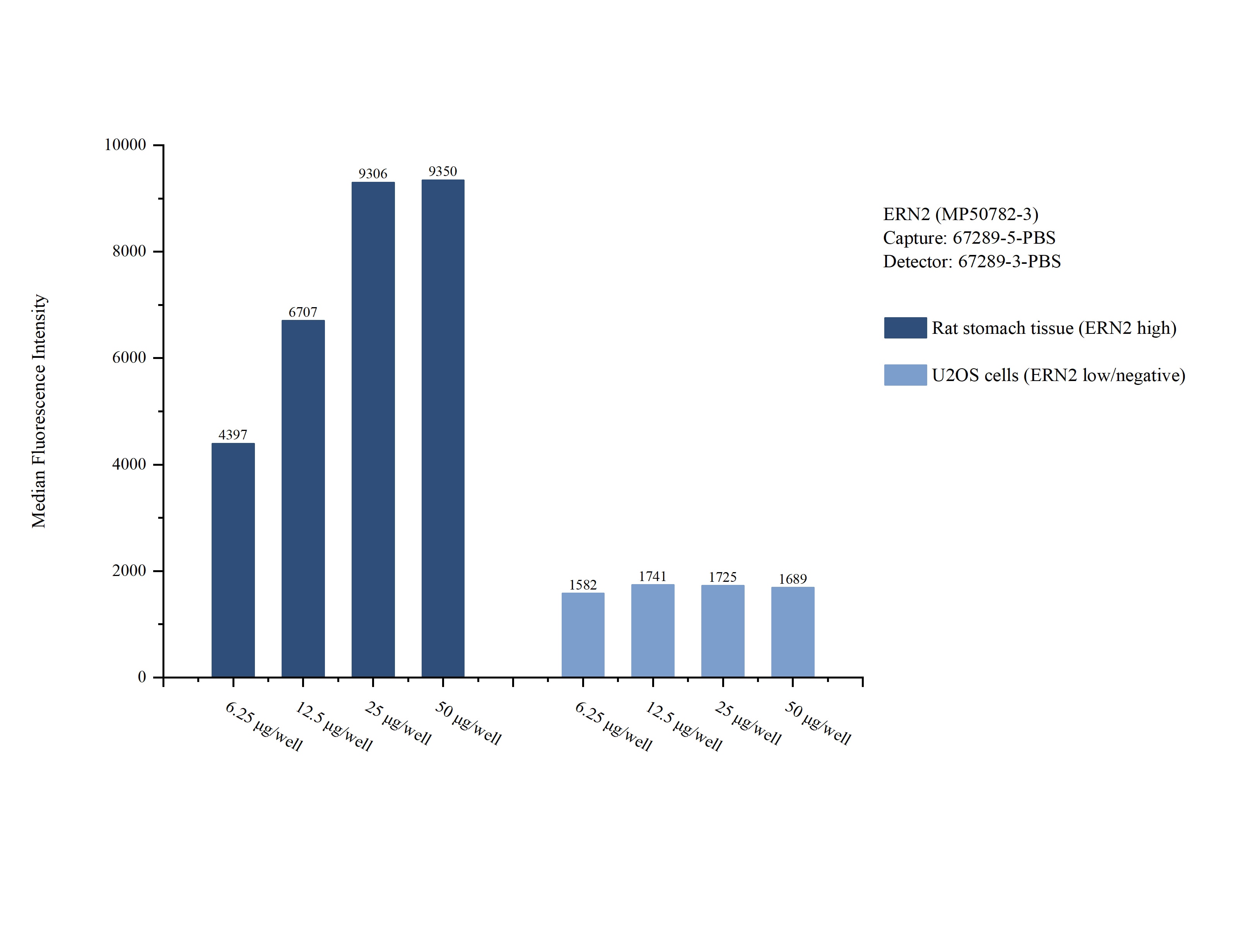 Cytometric bead array sample test of MP50782-3, ERN2 Monoclonal Matched Antibody Pair, PBS Only. Capture antibody: 67289-5-PBS. Detection antibody: 67289-3-PBS. Cytometric bead array sample test of MP50782-3