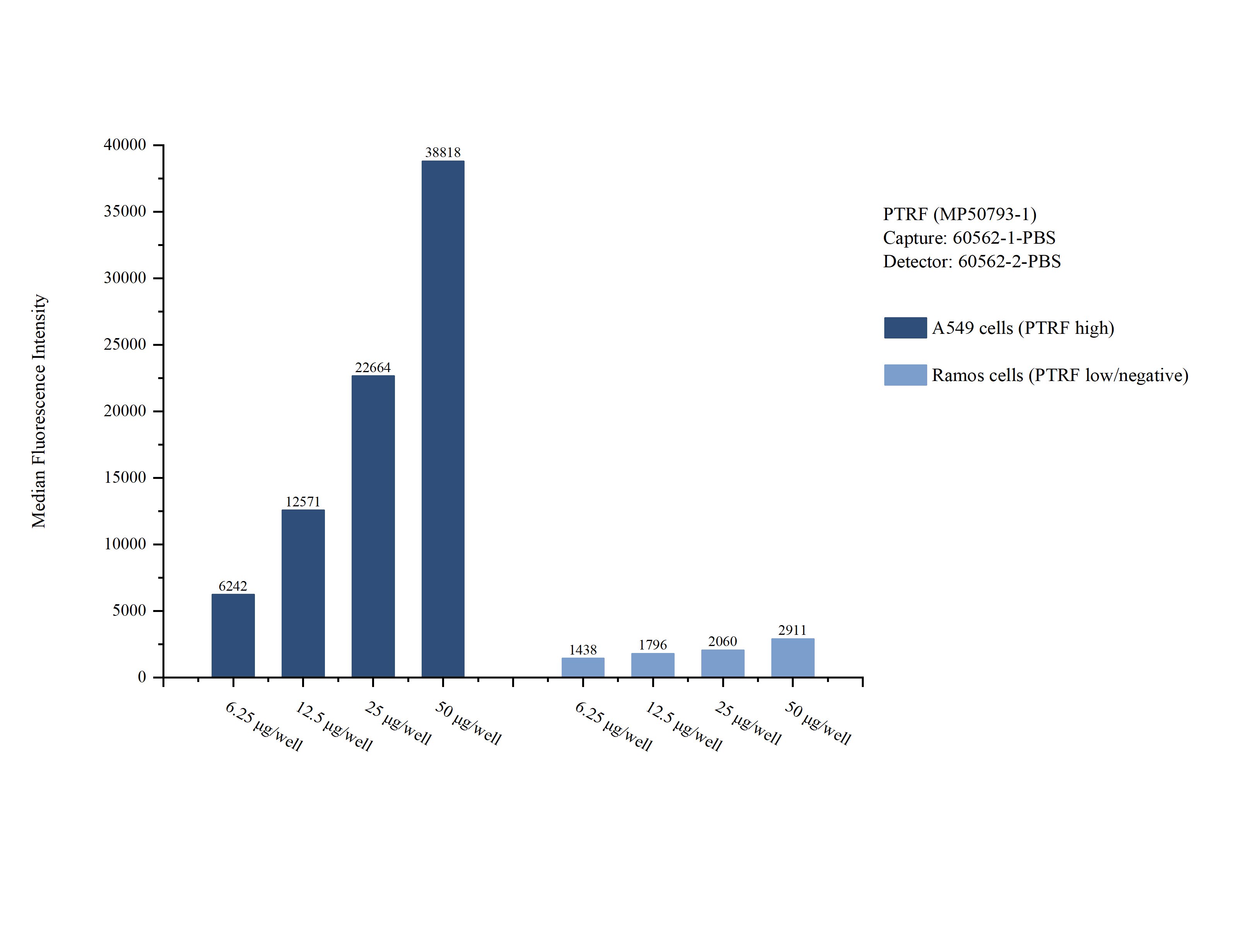 Cytometric bead array sample test of MP50793-1