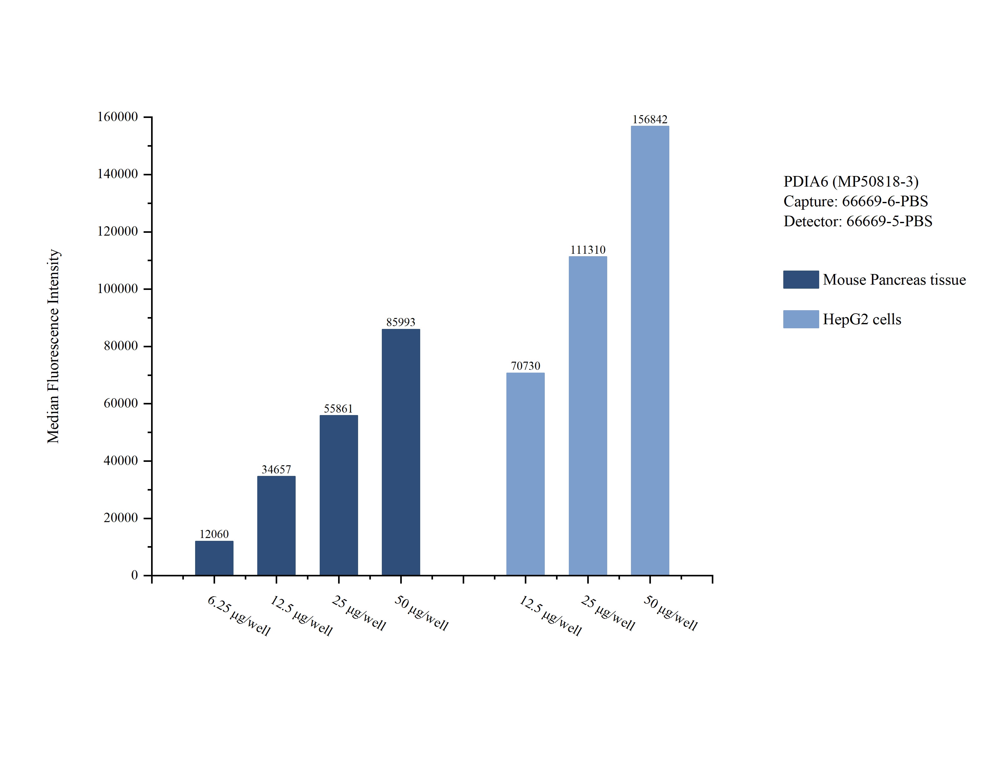 Cytometric bead array sample test of MP50818-3, PDIA6 Monoclonal Matched Antibody Pair, PBS Only. Capture antibody: 66669-6-PBS. Detection antibody: 66669-5-PBS. Cytometric bead array sample test of MP50818-3