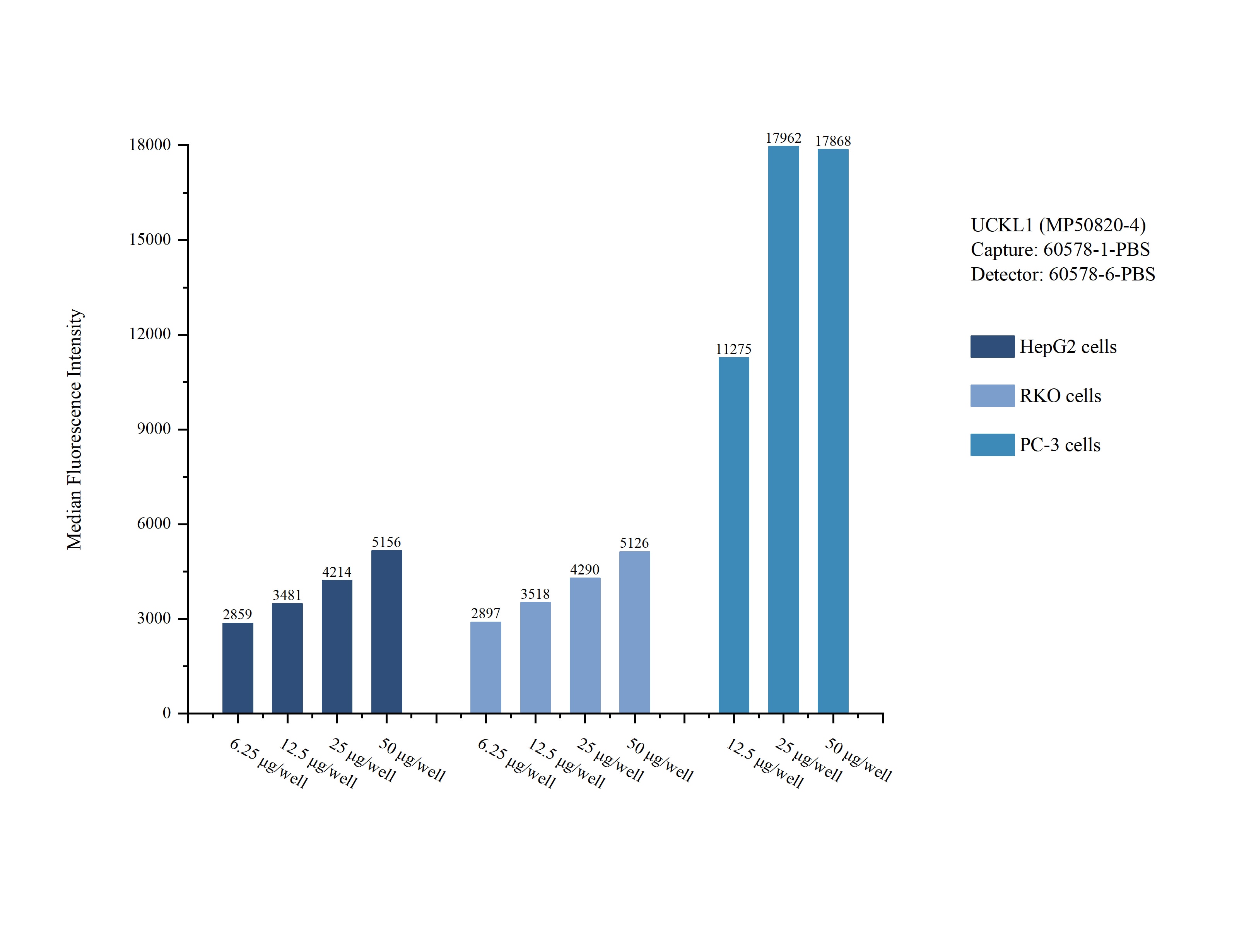 Cytometric bead array sample test of MP50820-4, UCKL1 Monoclonal Matched Antibody Pair, PBS Only. Capture antibody: 60578-1-PBS. Detection antibody: 60578-6-PBS. Cytometric bead array sample test of MP50820-4