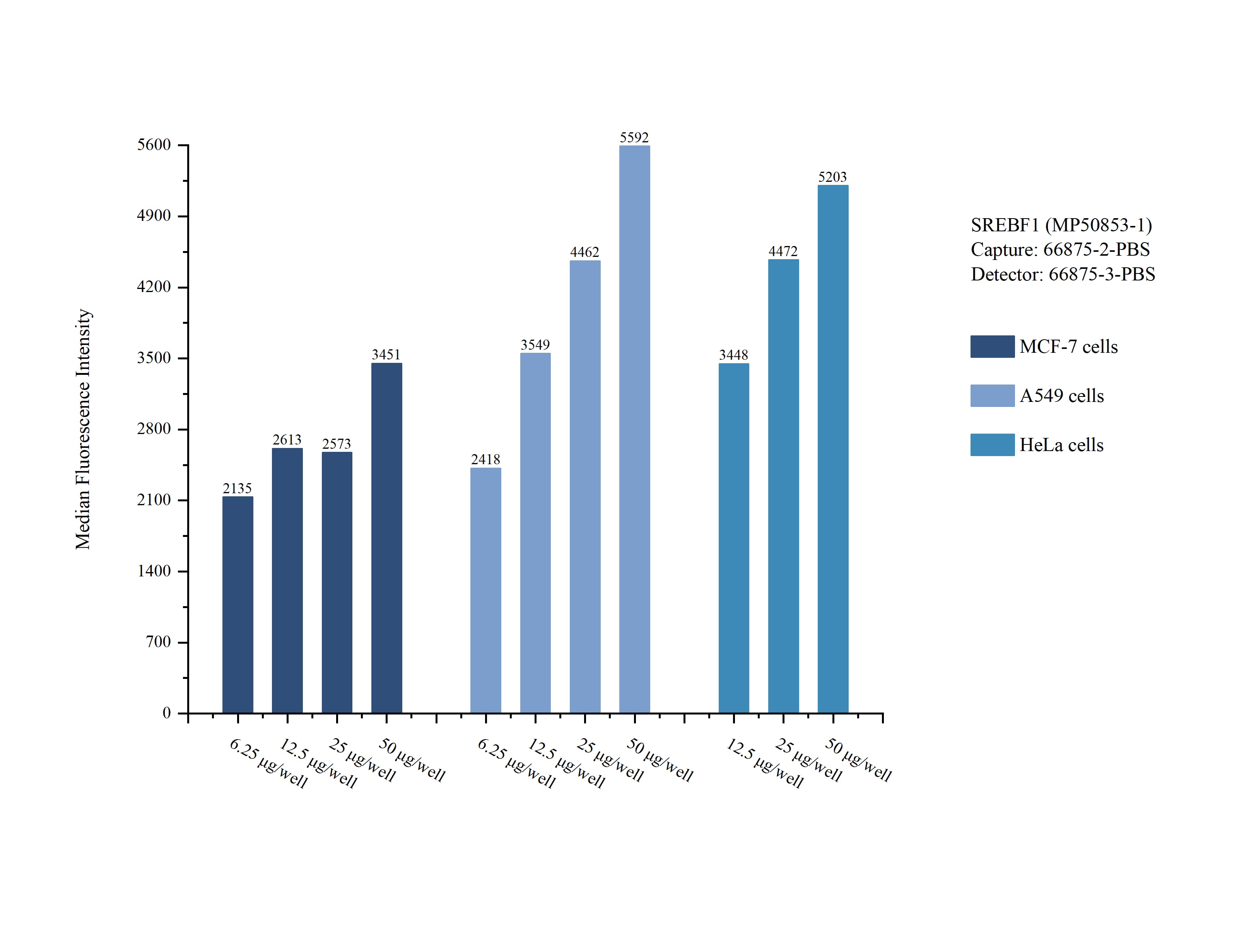 Cytometric bead array sample test of MP50853-1