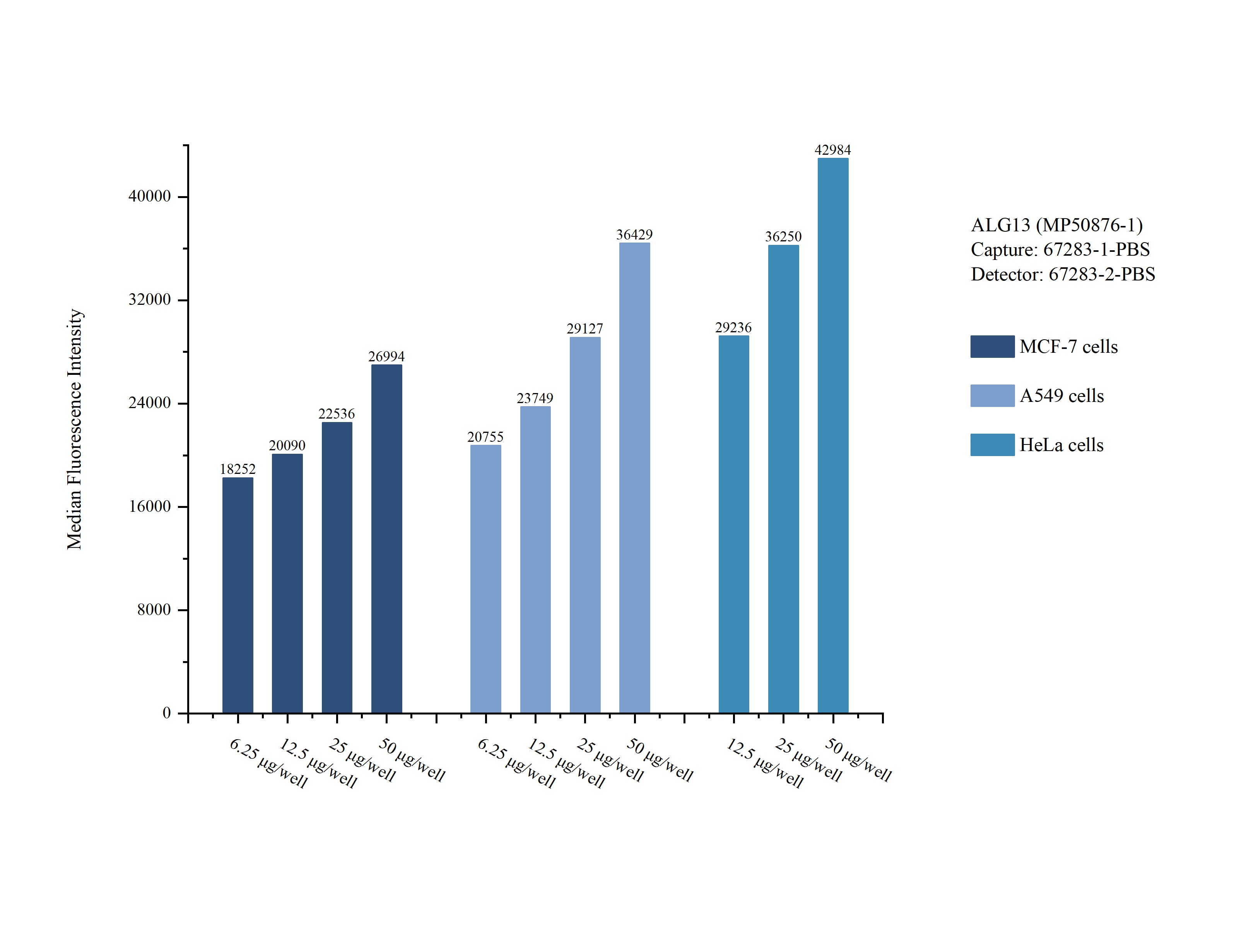 Cytometric bead array sample test of MP50876-1, ALG13 Monoclonal Matched Antibody Pair, PBS Only. Capture antibody: 67283-1-PBS. Detection antibody: 67283-2-PBS. Cytometric bead array sample test of MP50876-1