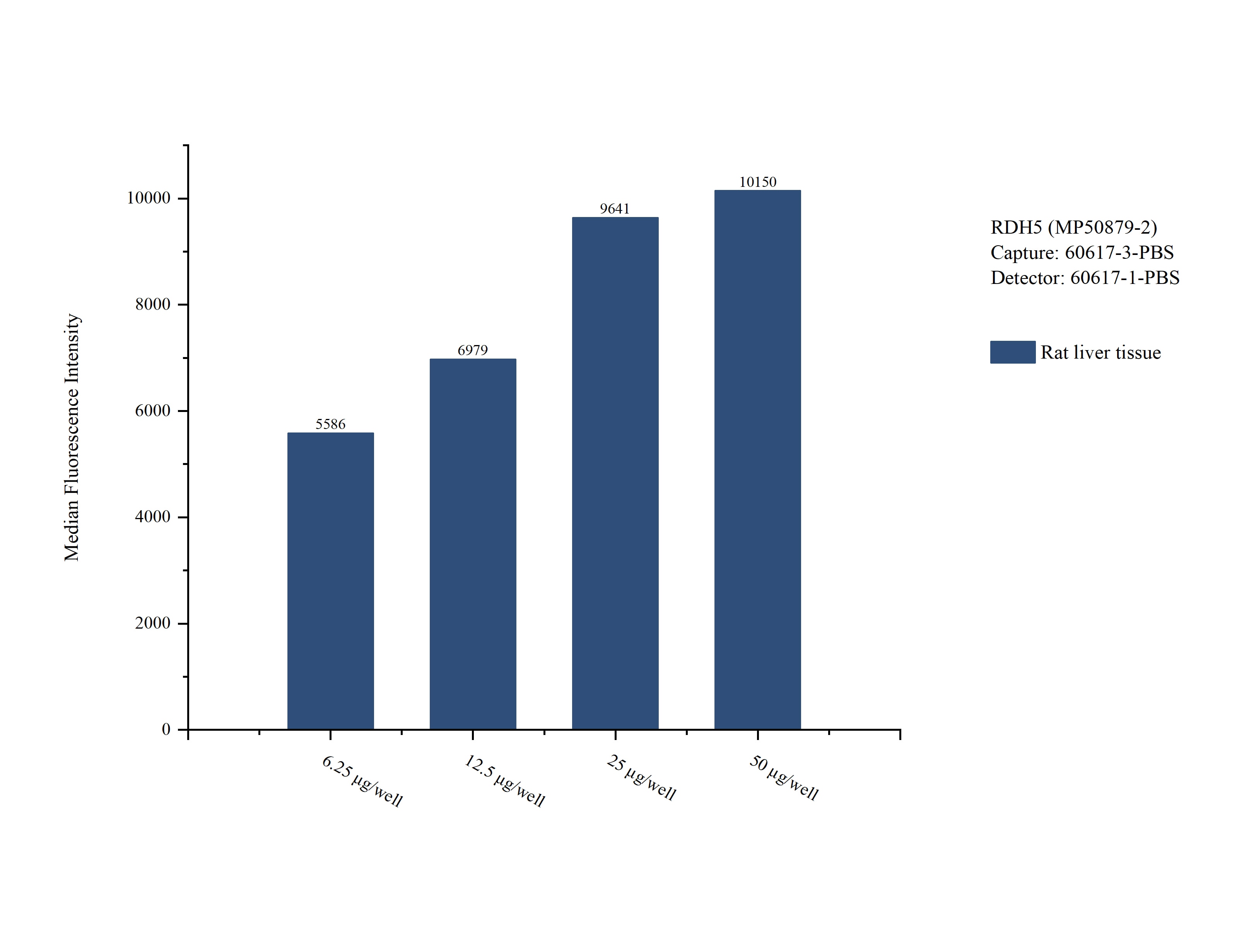 Cytometric bead array sample test of MP50879-2, RDH5 Monoclonal Matched Antibody Pair, PBS Only. Capture antibody: 60617-3-PBS. Detection antibody: 60617-1-PBS. 