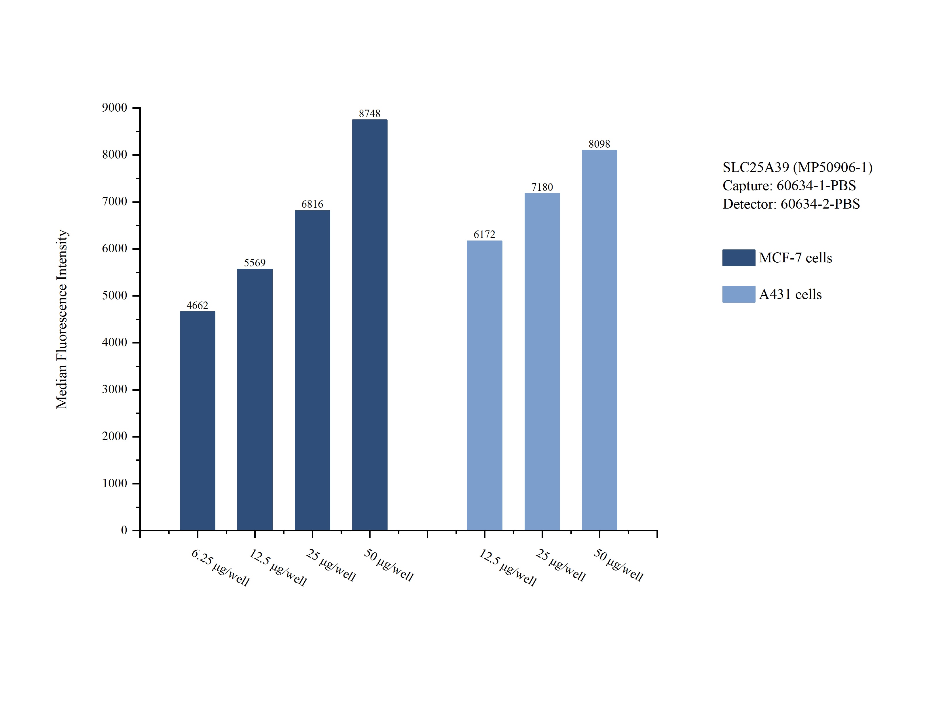 Cytometric bead array sample test of MP50906-1, SLC25A39 Monoclonal Matched Antibody Pair, PBS Only. Capture antibody: 60634-1-PBS. Detection antibody: 60634-2-PBS. 