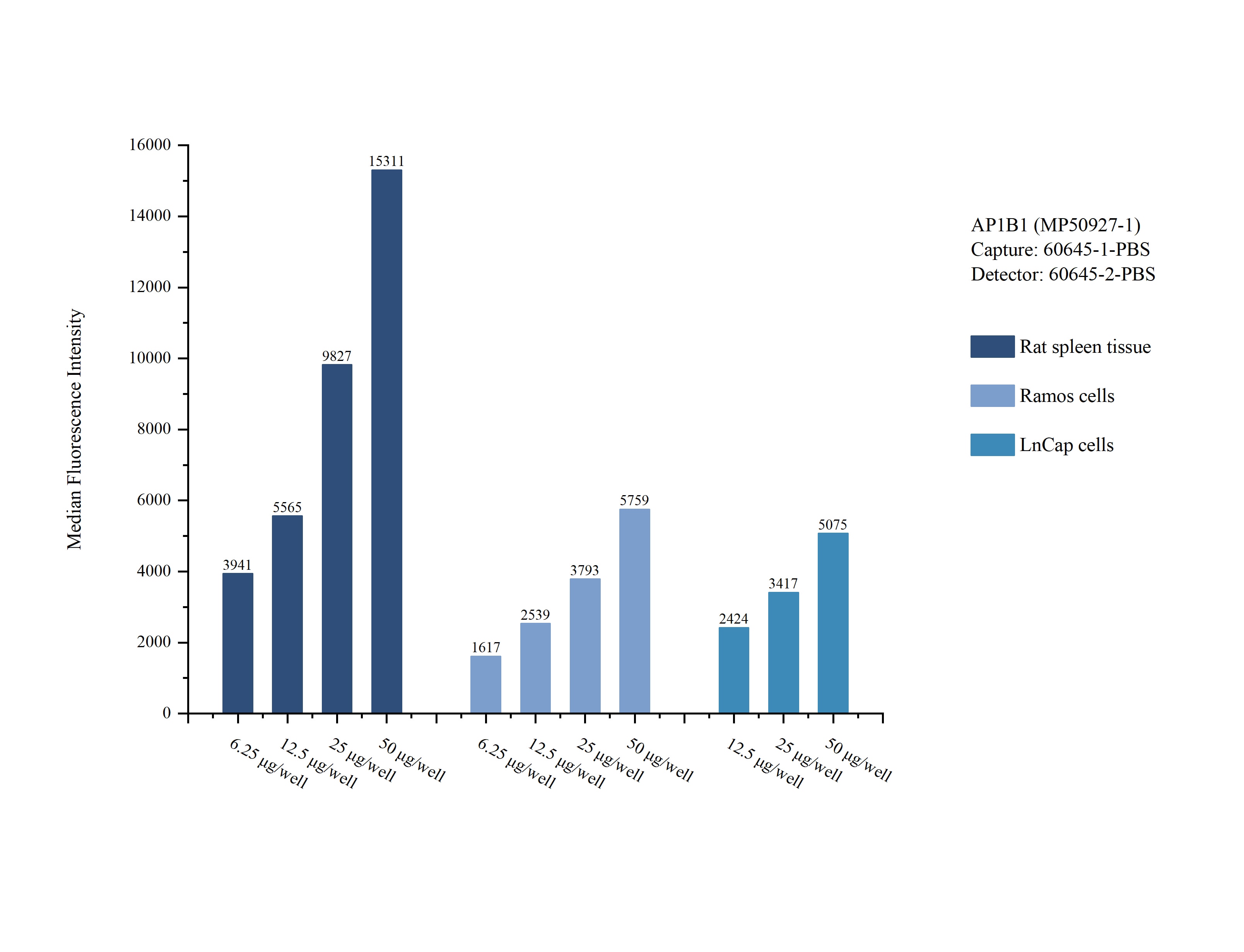 Cytometric bead array sample test of MP50927-1, AP1B1 Monoclonal Matched Antibody Pair, PBS Only. Capture antibody: 60645-1-PBS. Detection antibody: 60645-2-PBS. Cytometric bead array sample test of MP50927-1