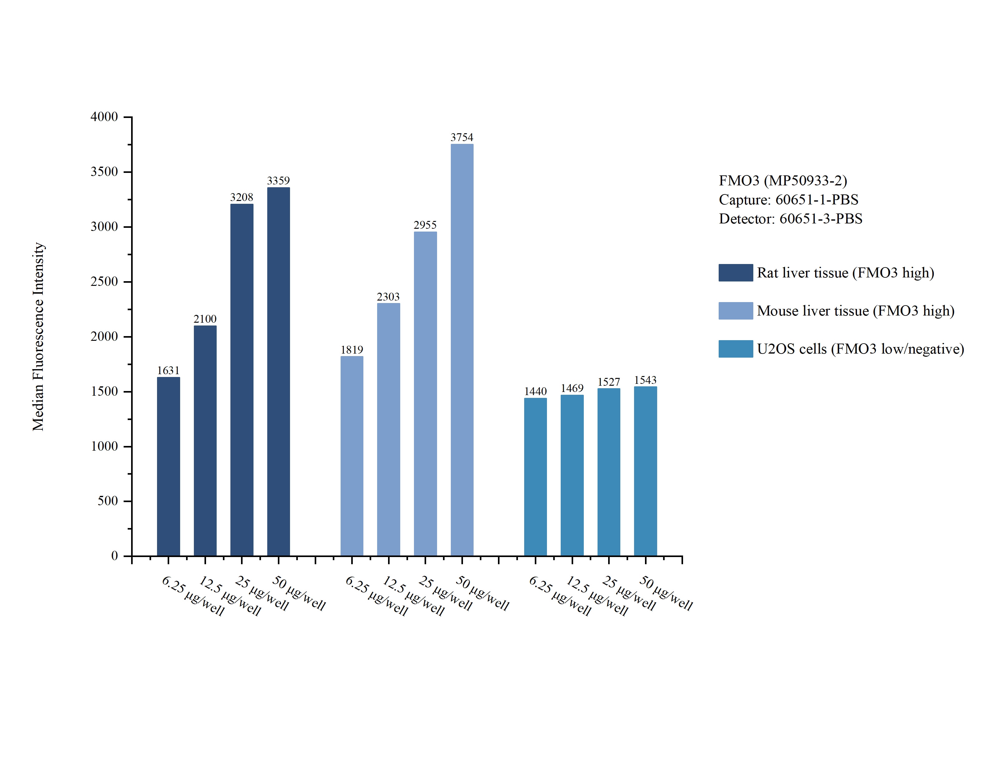 Cytometric bead array sample test of MP50933-2, FMO3 Monoclonal Matched Antibody Pair, PBS Only. Capture antibody: 60651-1-PBS. Detection antibody: 60651-3-PBS. Cytometric bead array sample test of MP50933-2