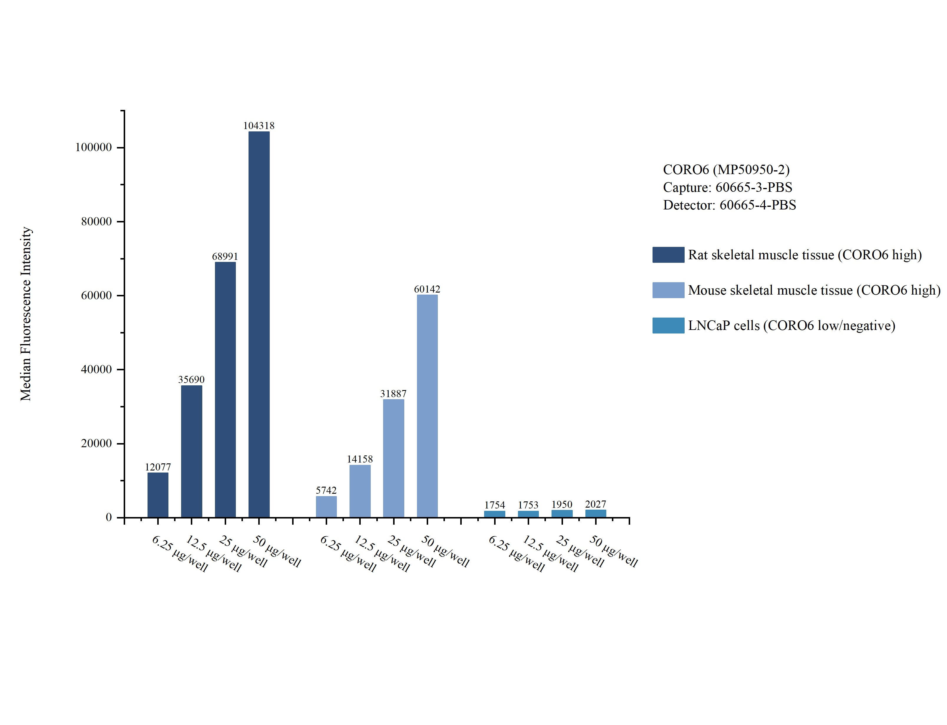 Cytometric bead array sample test of MP50950-2