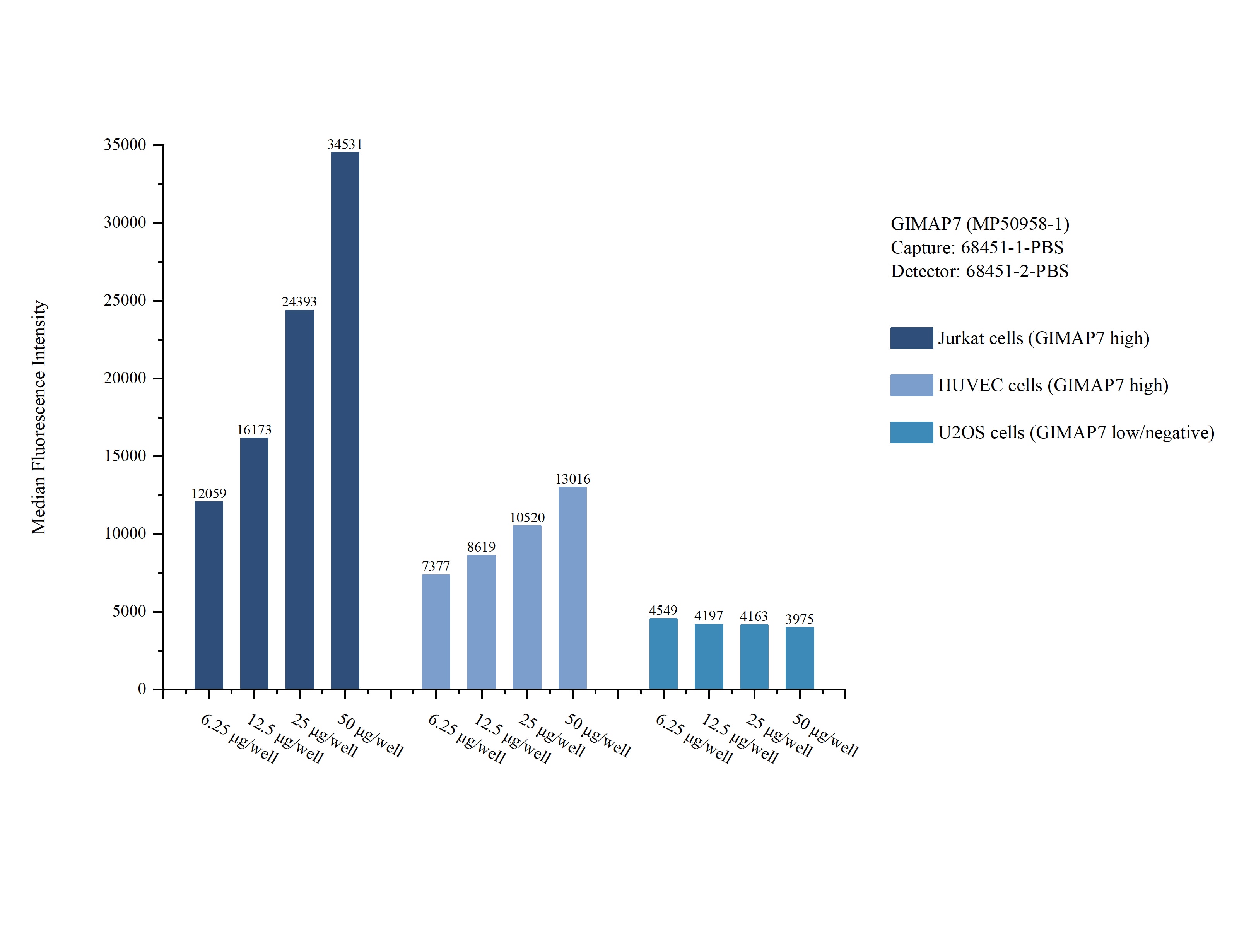 Cytometric bead array sample test of MP50958-1 Cytometric bead array sample test of MP50958-1