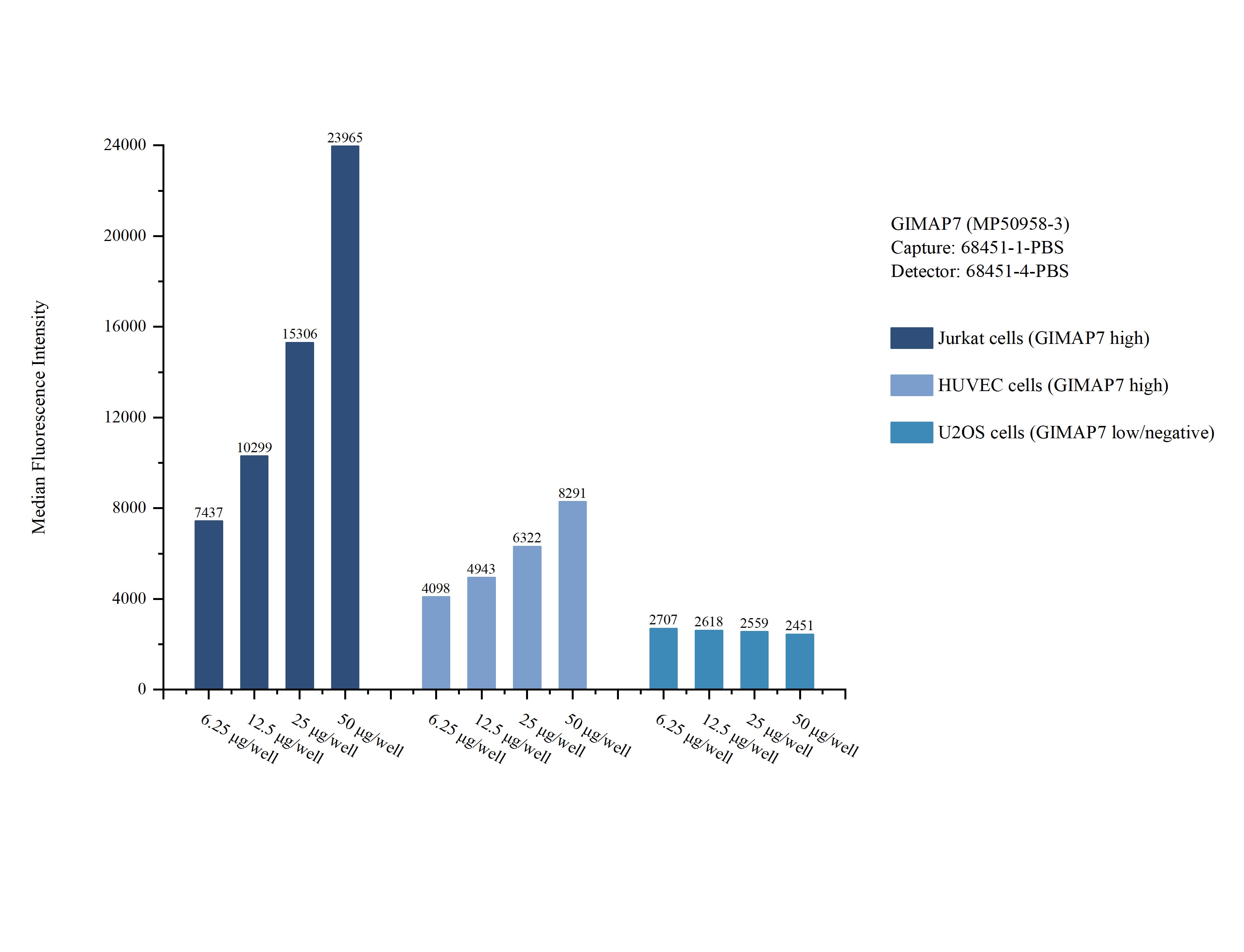 Cytometric bead array sample test of MP50958-3 Cytometric bead array sample test of MP50958-3