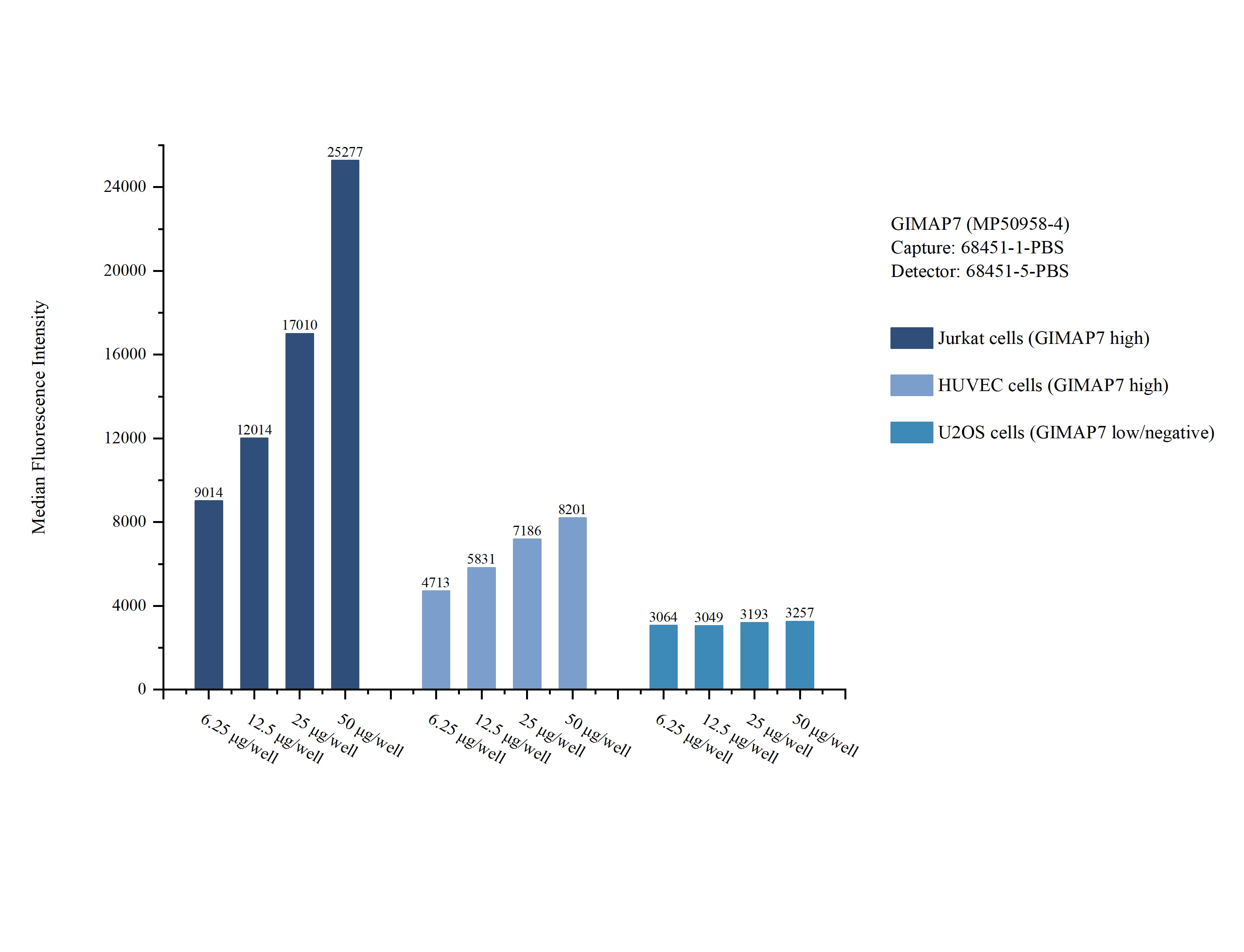 Cytometric bead array sample test of MP50958-4 Cytometric bead array sample test of MP50958-4