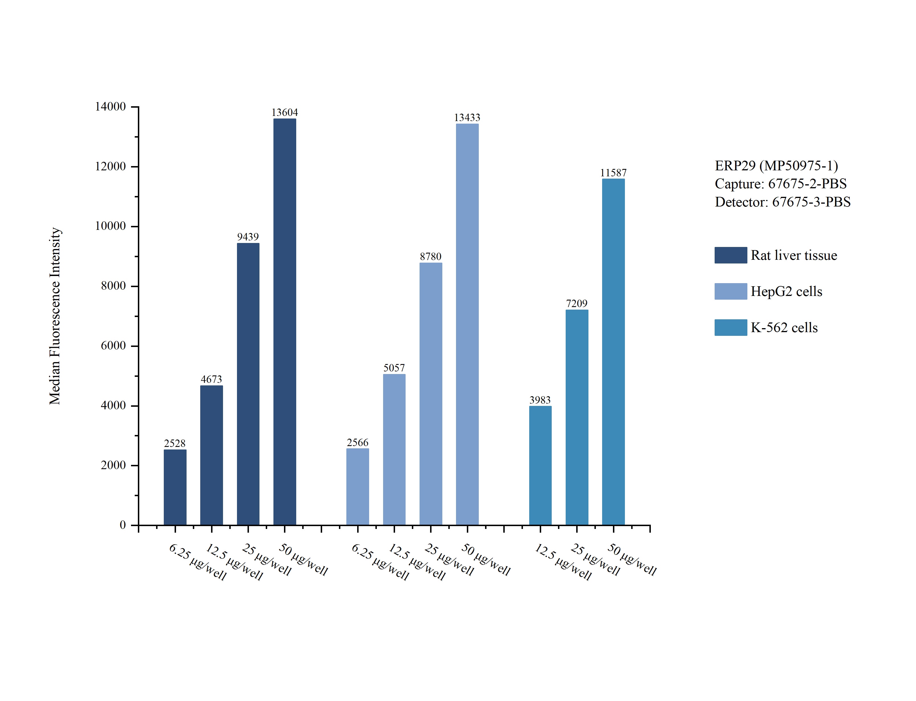 Cytometric bead array sample test of MP50975-1