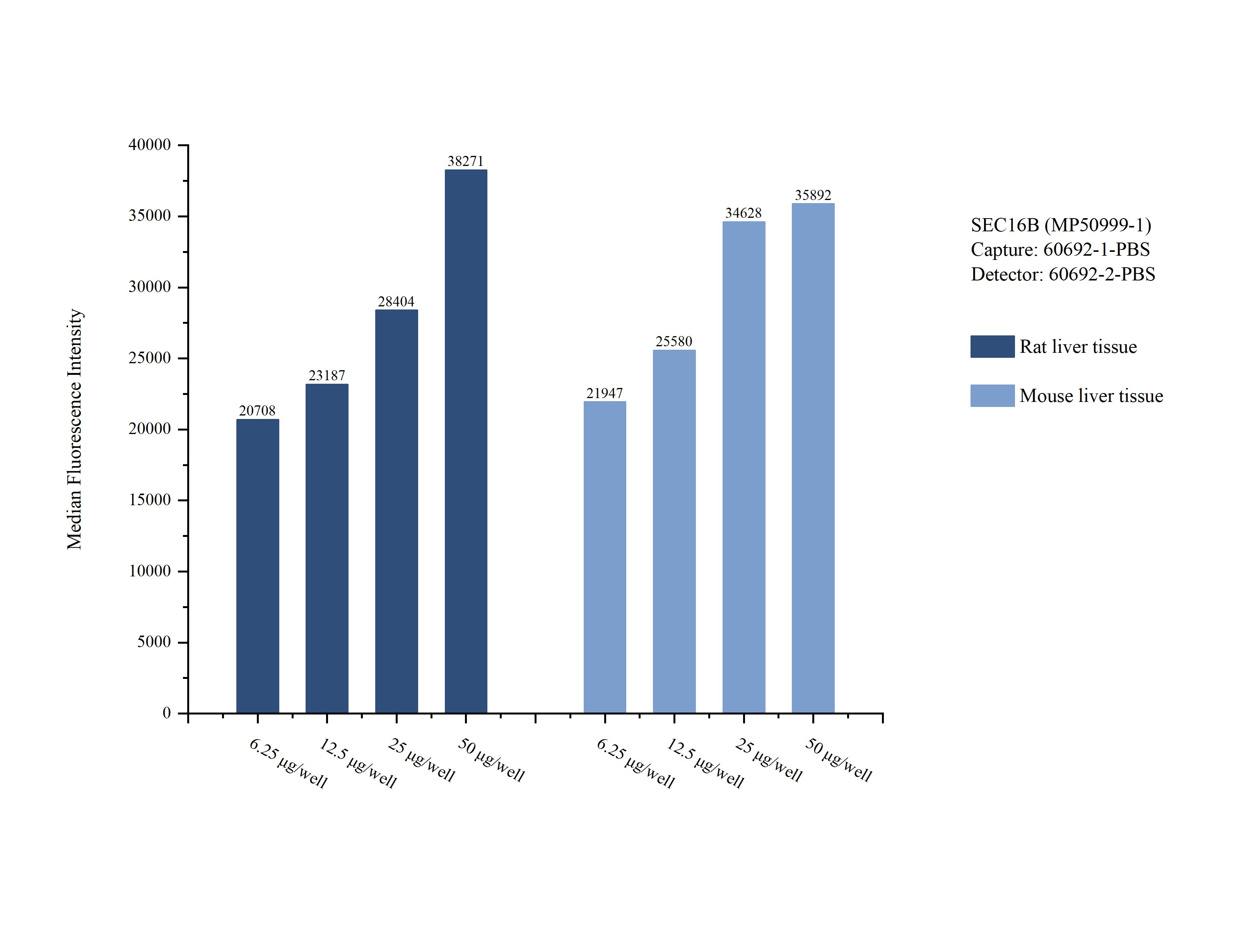 Cytometric bead array sample test of MP50999-1