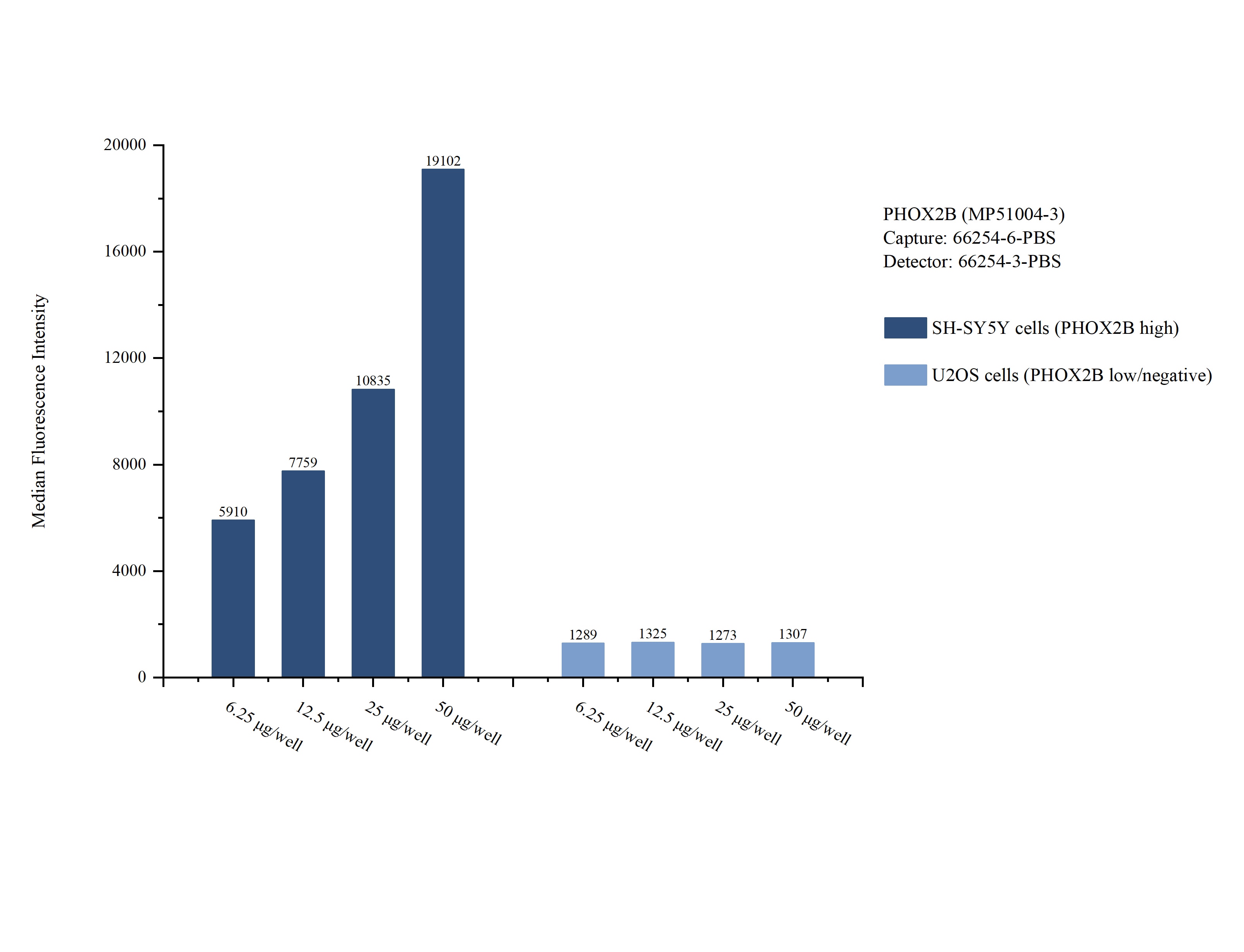 Cytometric bead array sample test of MP51004-3, PHOX2B Monoclonal Matched Antibody Pair, PBS Only. Capture antibody: 66254-6-PBS. Detection antibody: 66254-3-PBS. 