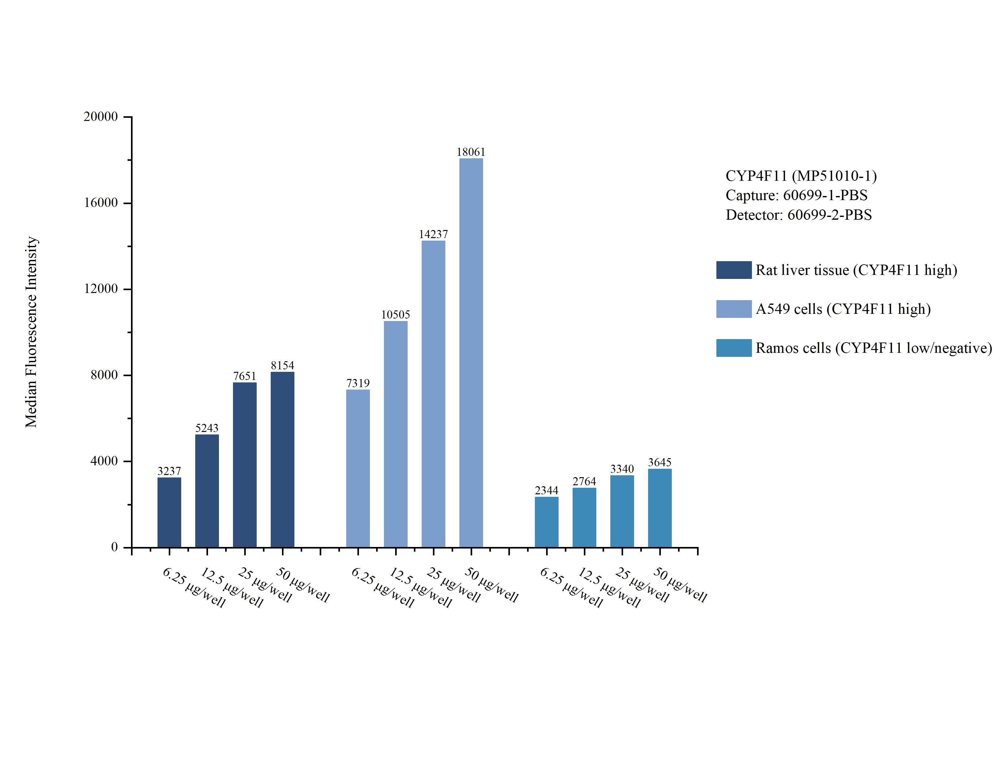 Cytometric bead array sample test of MP51010-1 Cytometric bead array sample test of MP51010-1