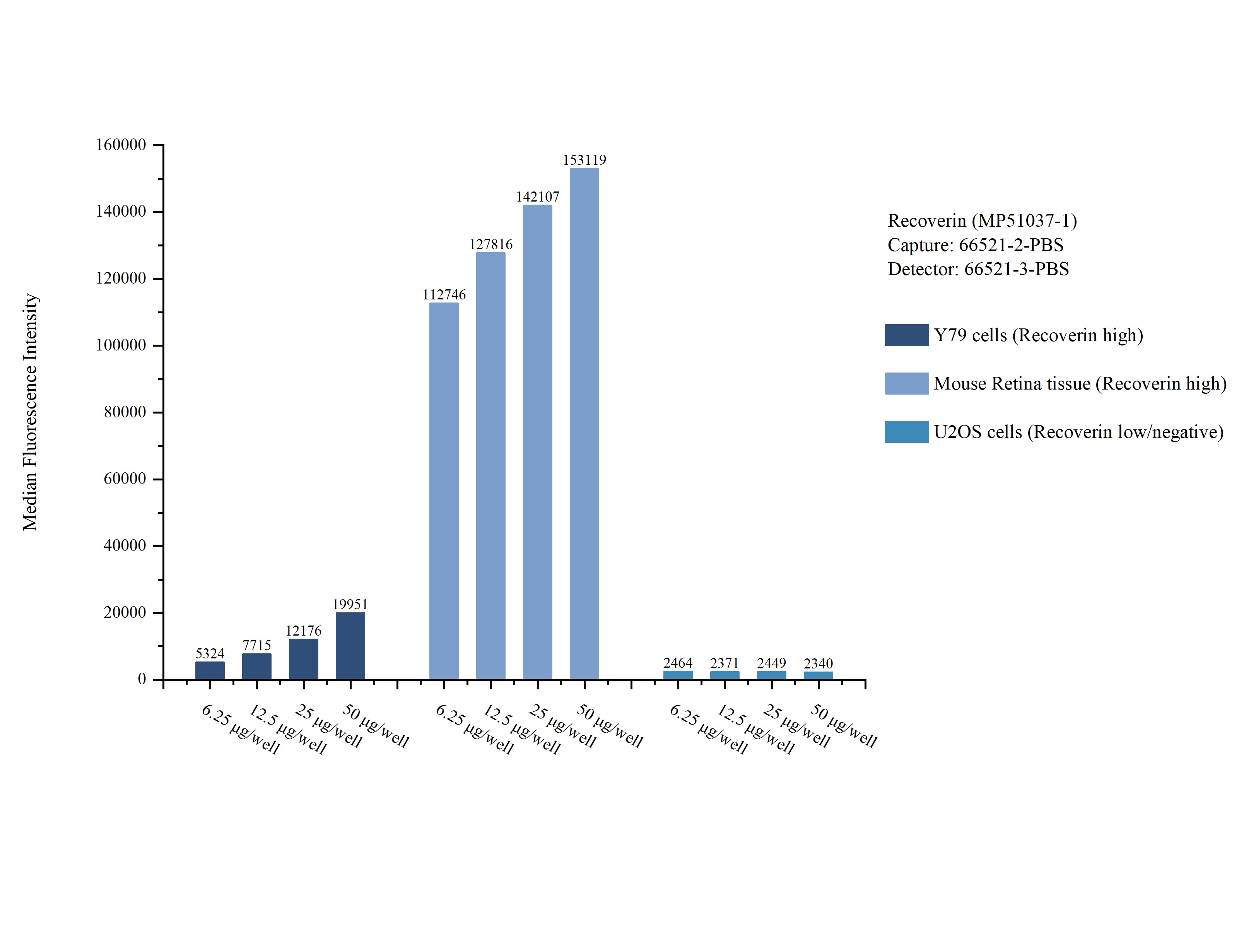 Cytometric bead array sample test of MP51037-1, Recoverin Monoclonal Matched Antibody Pair, PBS Only. Capture antibody: 66521-2-PBS. Detection antibody: 66521-3-PBS. Cytometric bead array sample test of MP51037-1